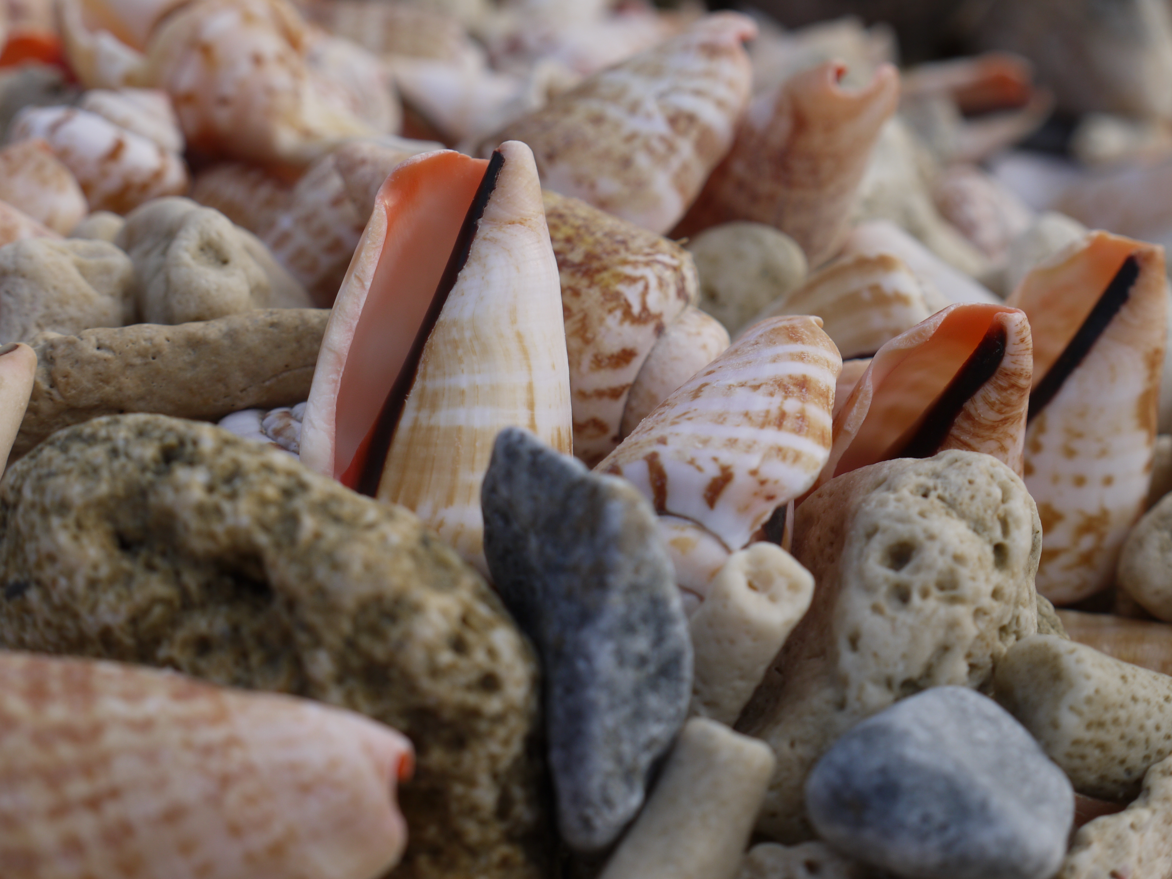 <b>DMC-GF1 / LUMIX G VARIO 14-45mm F3.5-5.6 ASPH. MEGA O.I.S. / 4,000×3,000 / 1/200秒 / F6.3 / 0EV / ISO100 / プログラムAE / WB:オート / 36mm / フィルムモード：スタンダード</b>