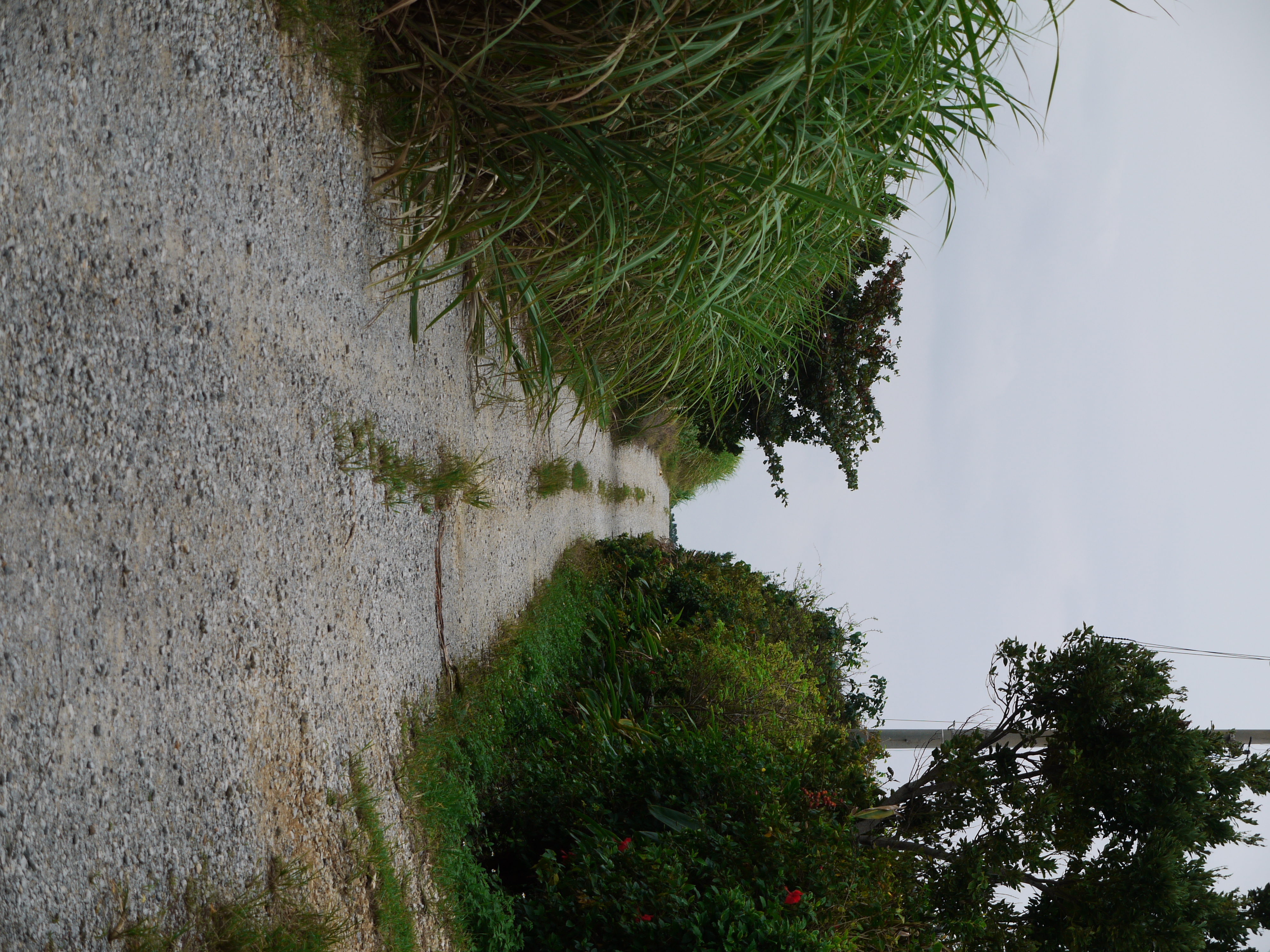 <b>DMC-GF1 / LUMIX G VARIO 14-45mm F3.5-5.6 ASPH. MEGA O.I.S. / 3,000×4,000 / 1/250秒 / F5.6 / 0EV / ISO100 / プログラムAE / WB:オート / 45mm / フィルムモード：ダイナミック</b>