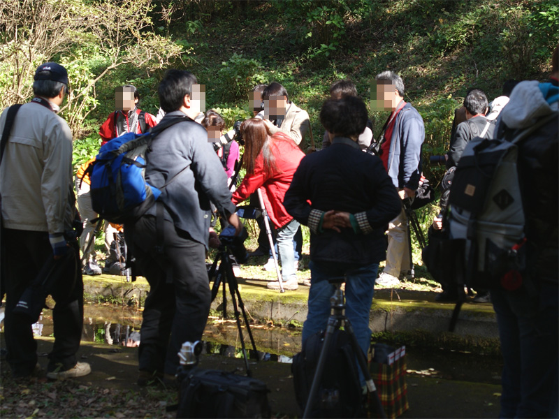 <b>ネイチャーフォトコースの様子</b>