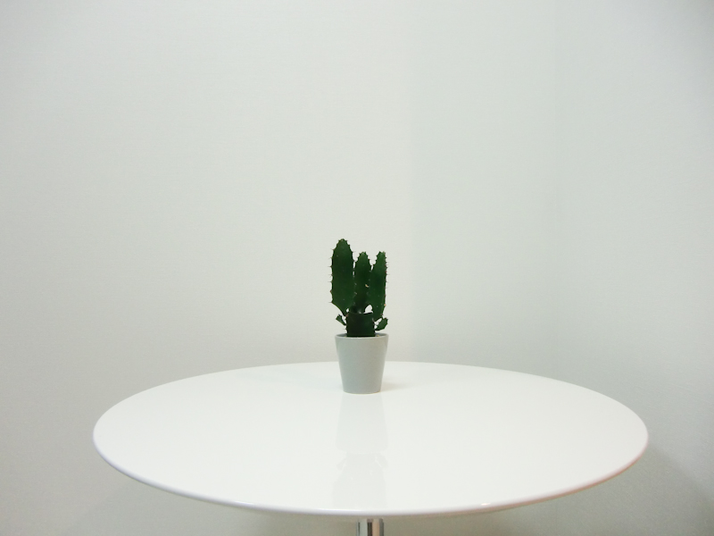 <b>テストで使用した被写体（広角端）</b>