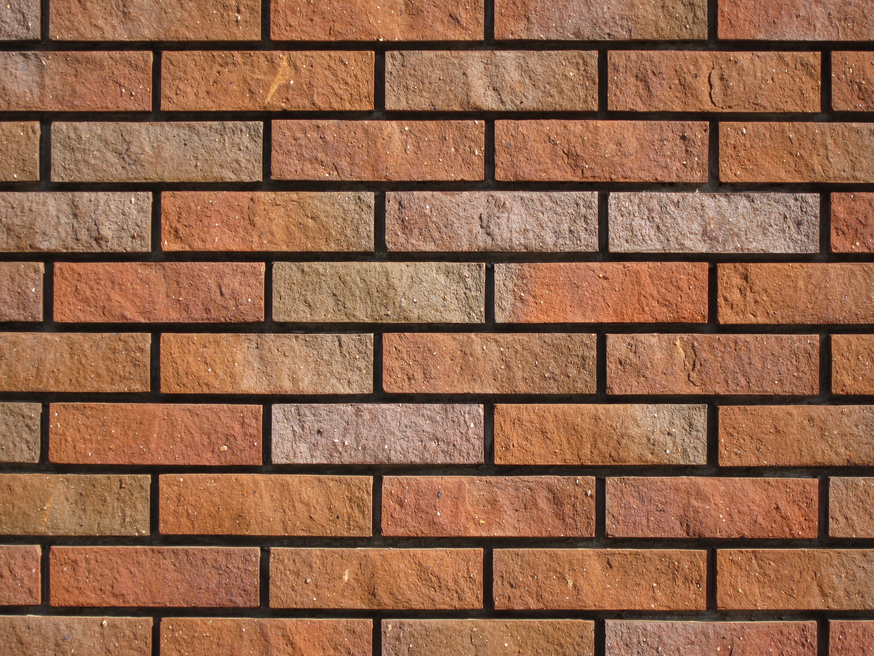 <b>望遠端<br>PowerShot S90 / 約4.1MB / 3,648×2,736 / 1/200秒 / F4.9 / 0EV / ISO80 / WB:オート / 22.5mm</b>