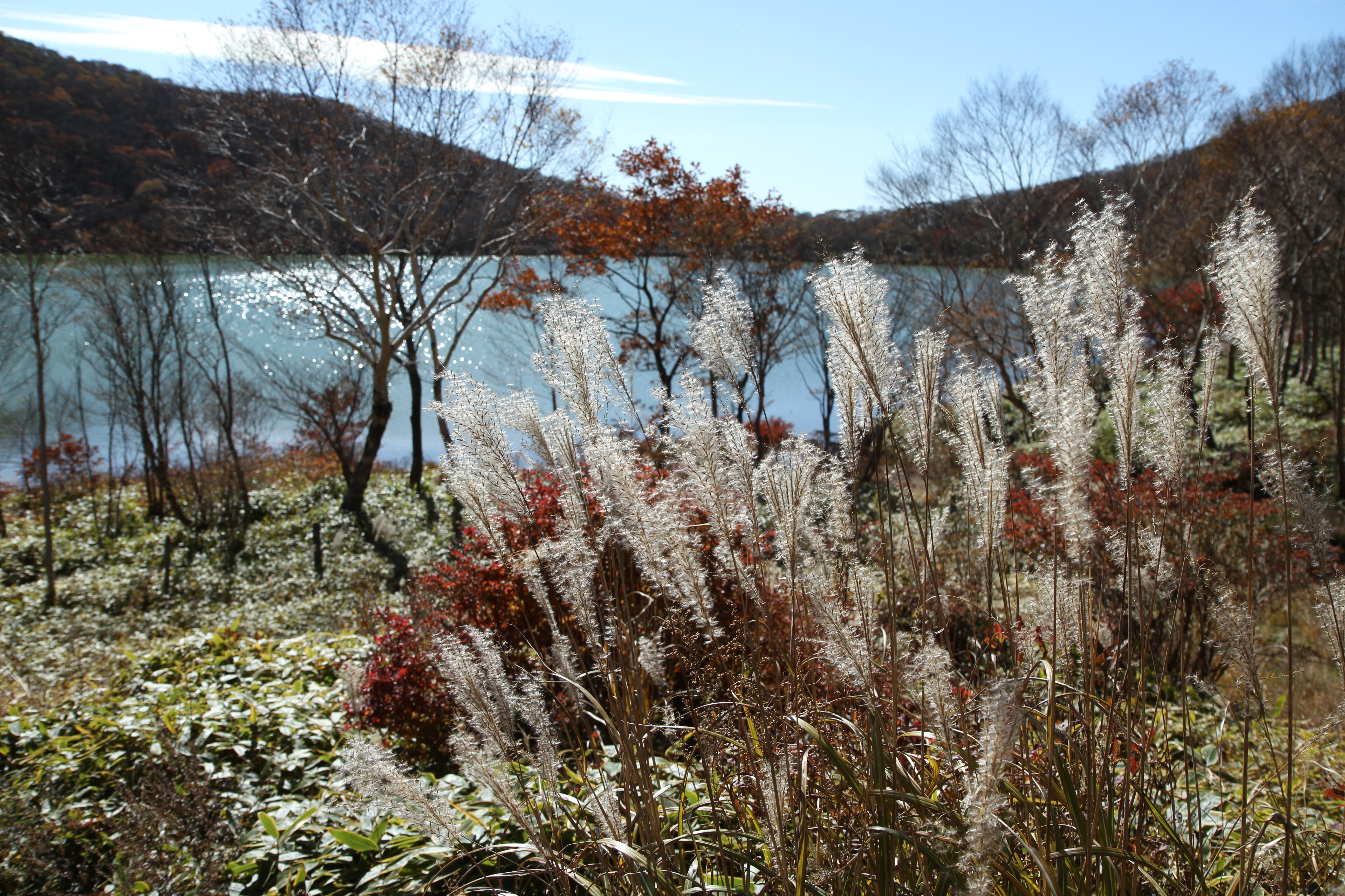 <b>EF-S 17-55mm F2.8 IS USM / 5,184×3,456 / 1/500秒 / F5.6 / -0.3EV / ISO100 / 絞り優先AE / WB:太陽光 / 20.0mm</b>