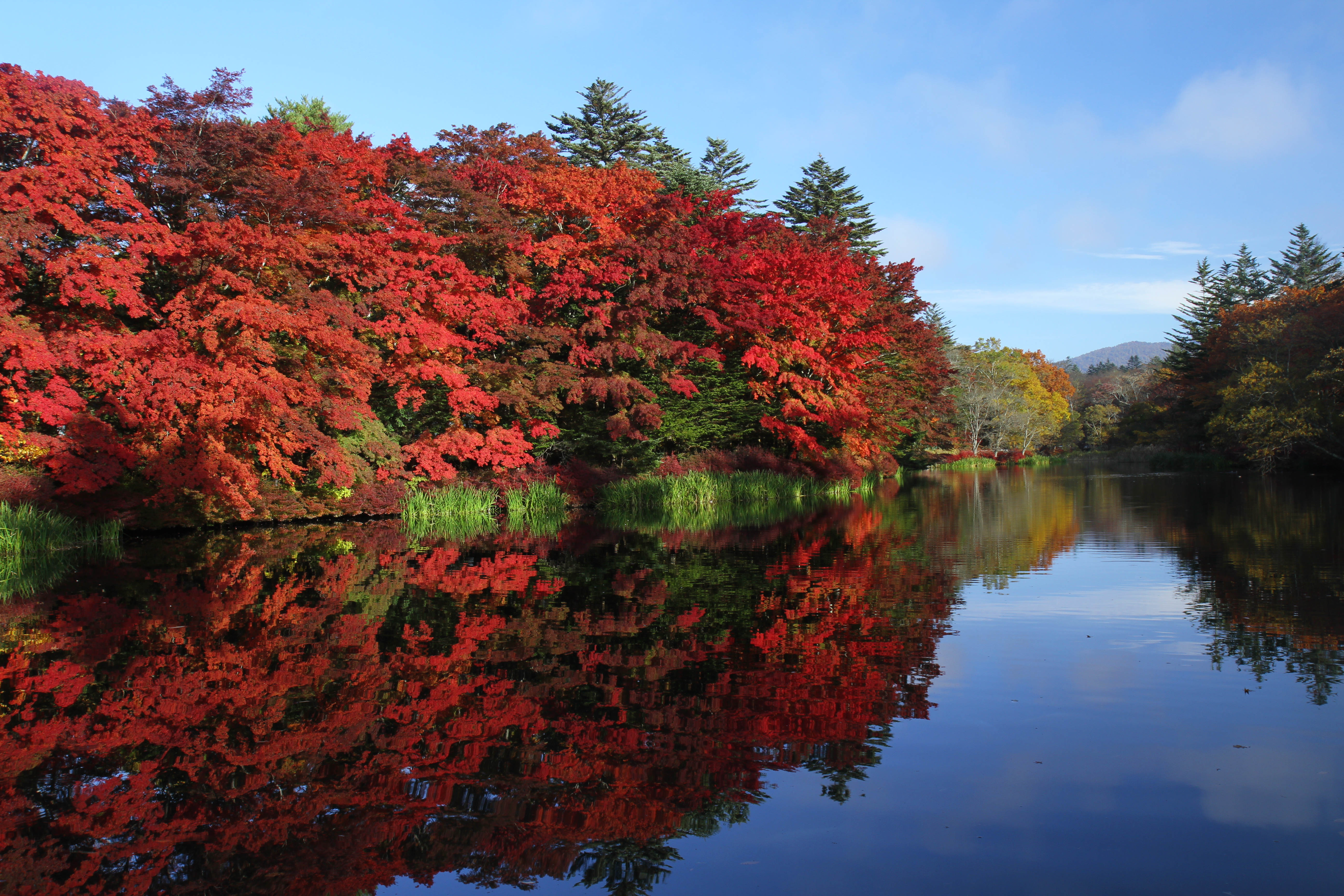 <b>EF-S 17-55mm F2.8 IS USM / 5,184×3,456 / 1/40秒 / F7.1 / -1.3EV / ISO100 / 絞り優先AE / WB:太陽光 / 18.0mm</b>