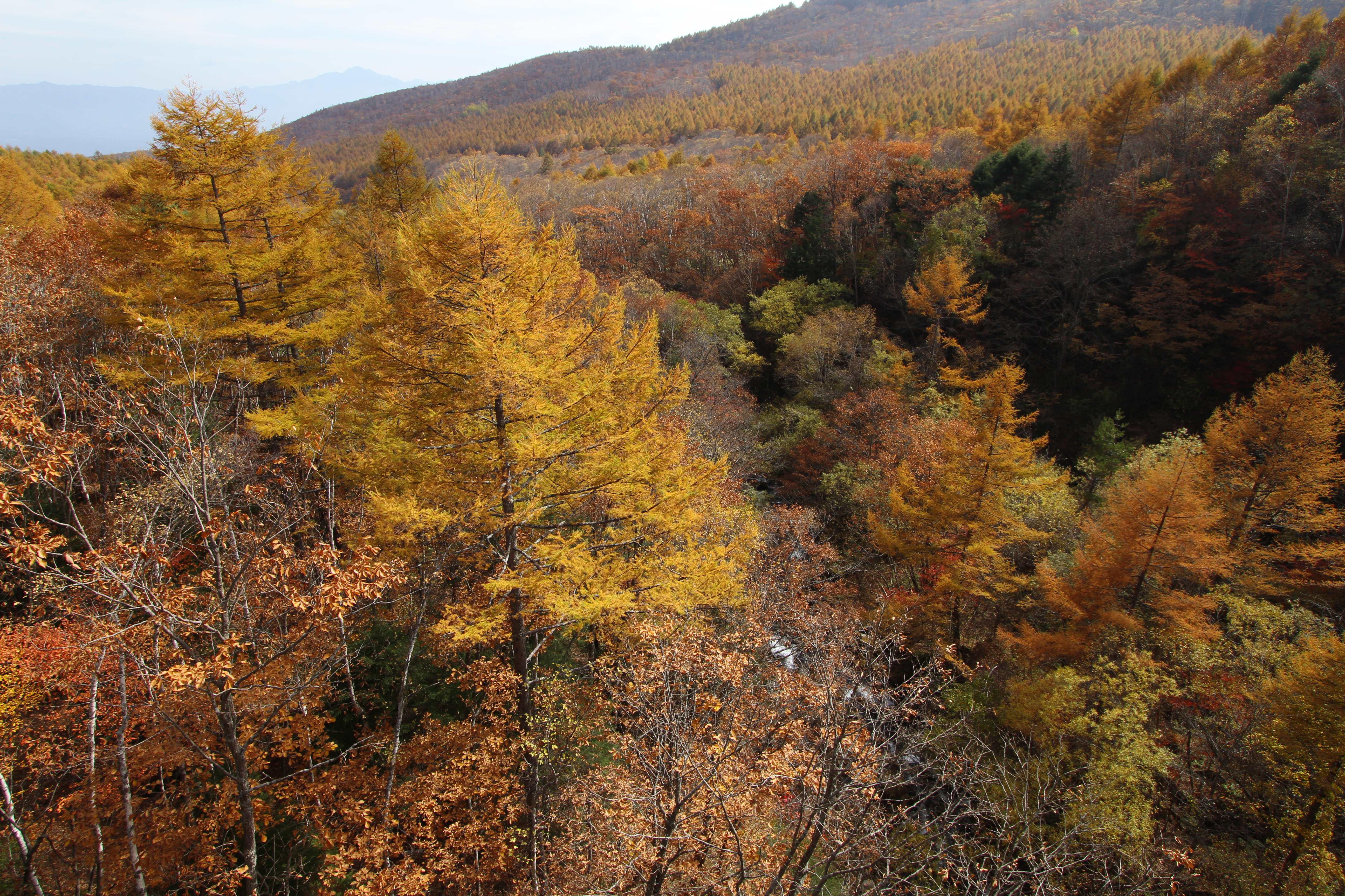 <b>EF-S 10-22mm F3.5-4.5 USM / 5,184×3,456 / 1/160秒 / F8 / -0.3EV / ISO100 / 絞り優先AE / WB:太陽光 / 12.0mm</b>