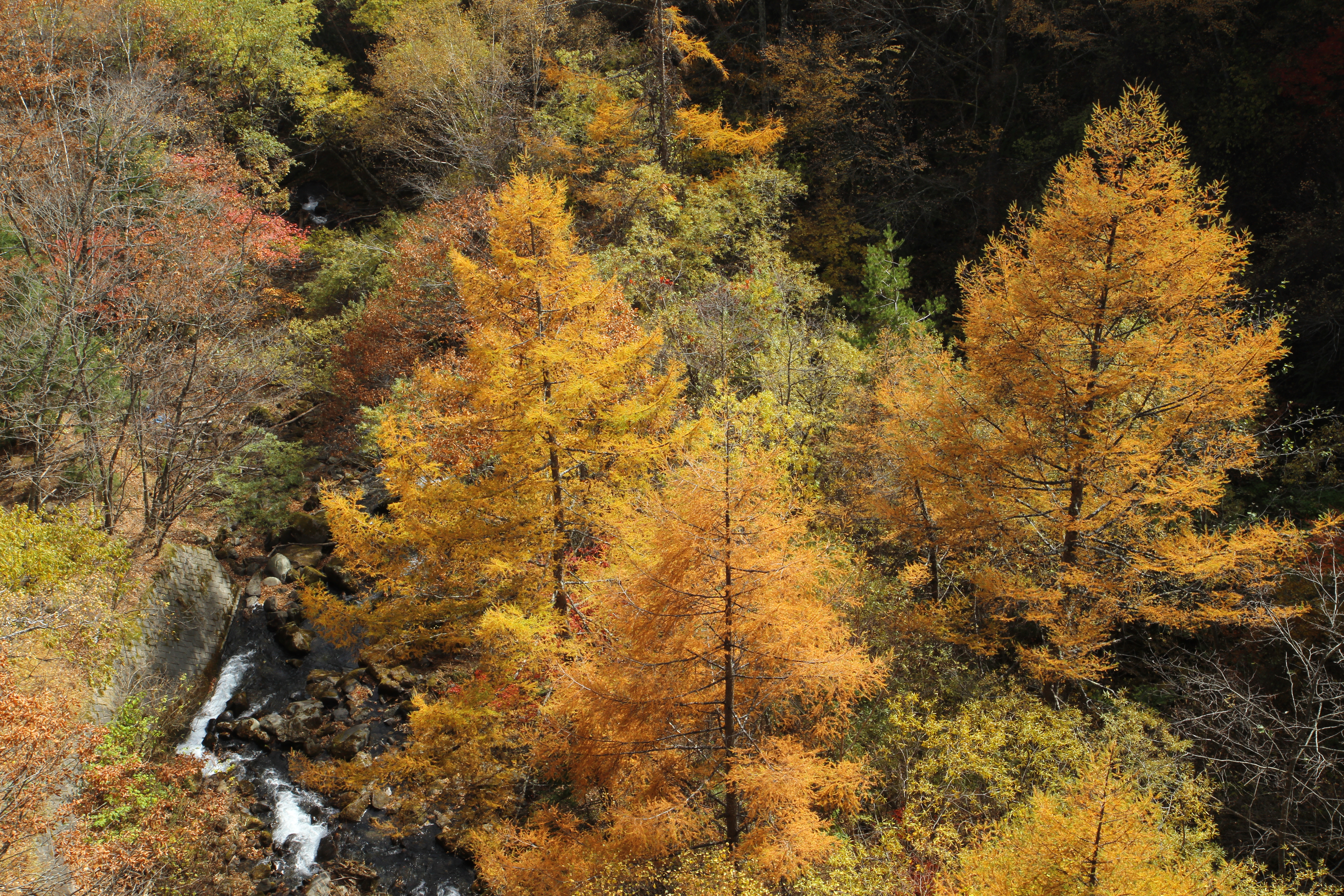 <b>EF-S 17-55mm F2.8 IS USM / 5,184×3,456 / 1/80秒 / F11 / -0.3EV / ISO100 / 絞り優先AE / WB:太陽光 / 24.0mm</b>