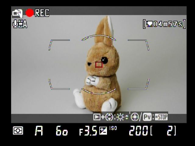 <b>動画記録中の液晶モニター表示</b>