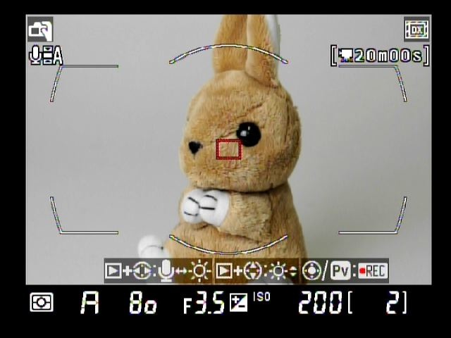 <b>ライブビュー表示。左からFX、1.2×、DX、5：4</b>