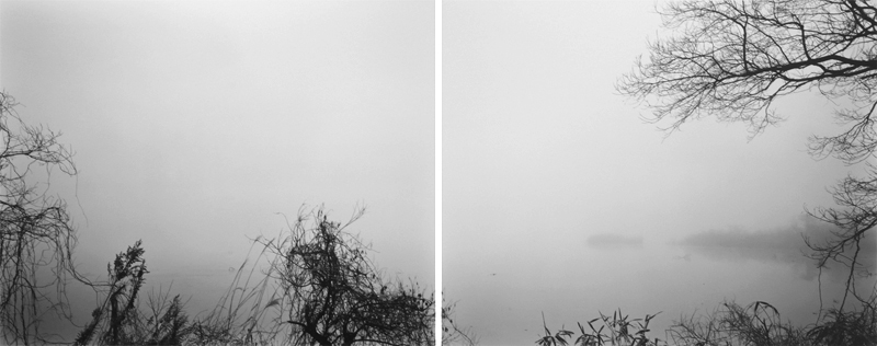 <b>「bird song 伊豆沼」 ゼラチンシルバープリント 40.6×50.8cm 2枚組 (c)藤井保</b>