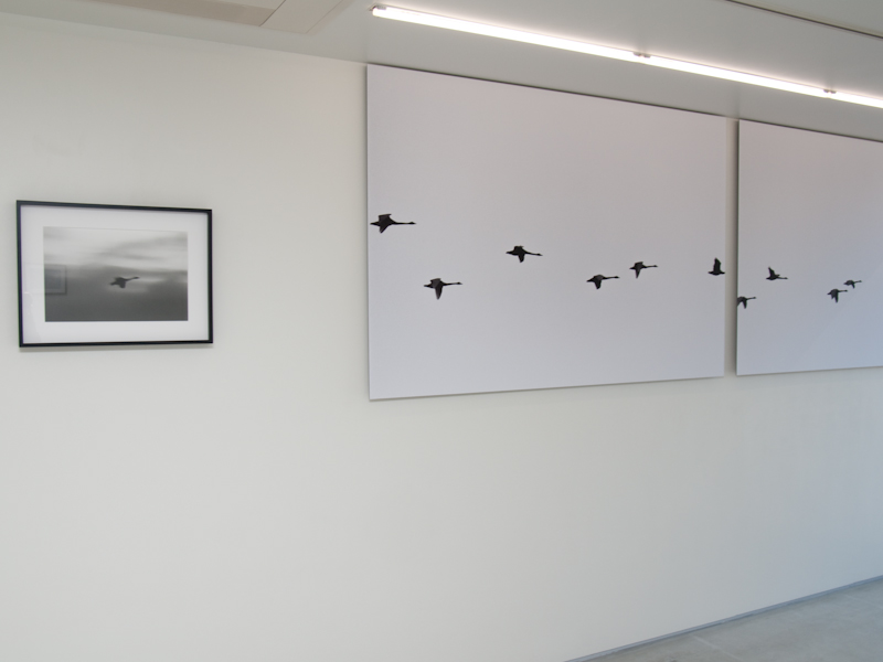 <b>1階には具象的な作品を、2階には少し抽象的な表現を並べた</b>