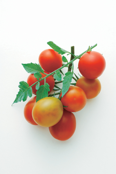 <b>「食彩」より (c)山本弘之</b>