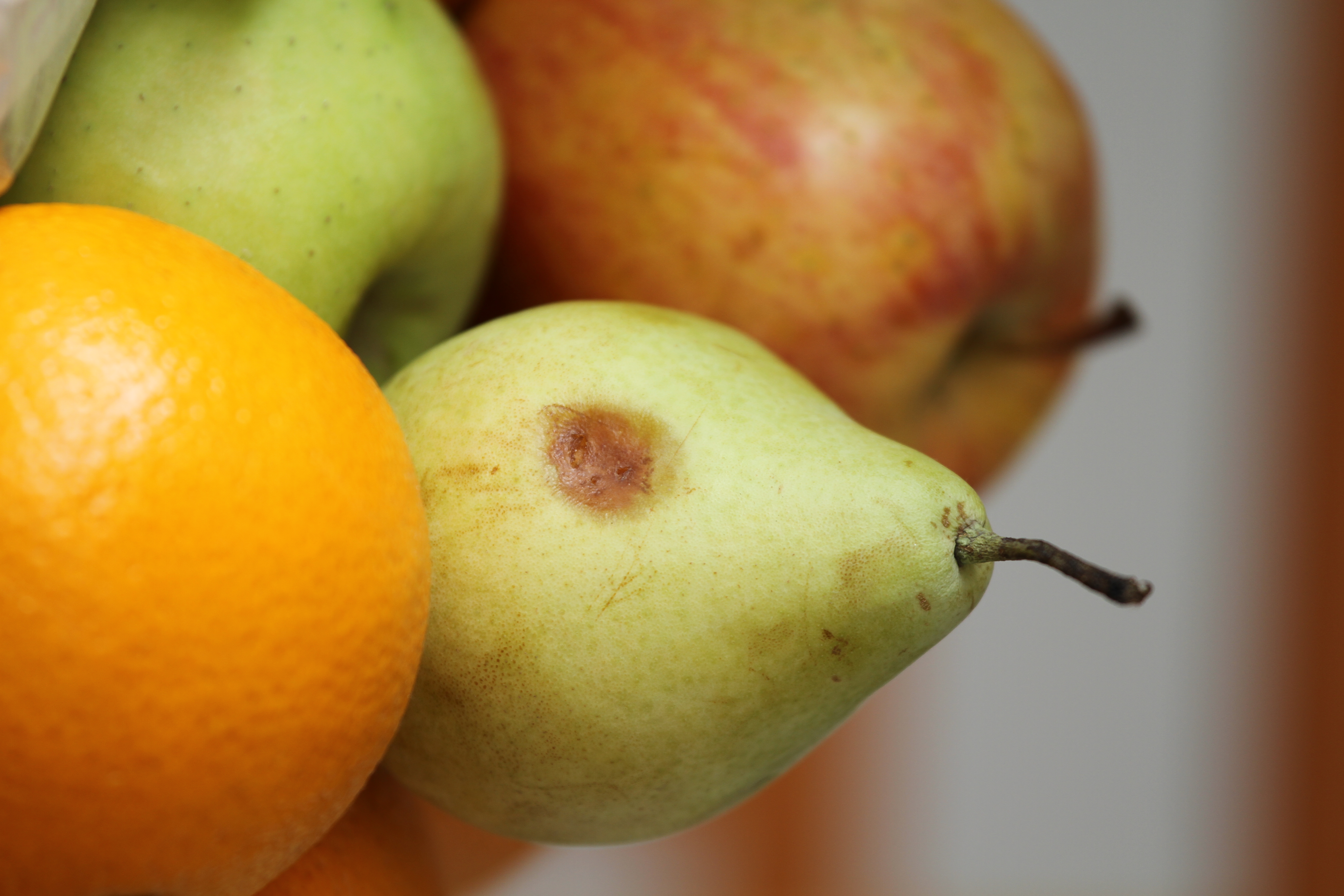 <b>EOS 7D / EF 70-200mm F4 L IS USM / 3,456×5,184 / 1/160秒 / F4 / 0EV / ISO100 / 絞り優先AE / WB:オート / 169mm / ピクチャースタイル：スタンダード / オートライティングオプティマイザ：強め / 高輝度側・階調優先：しない</b>