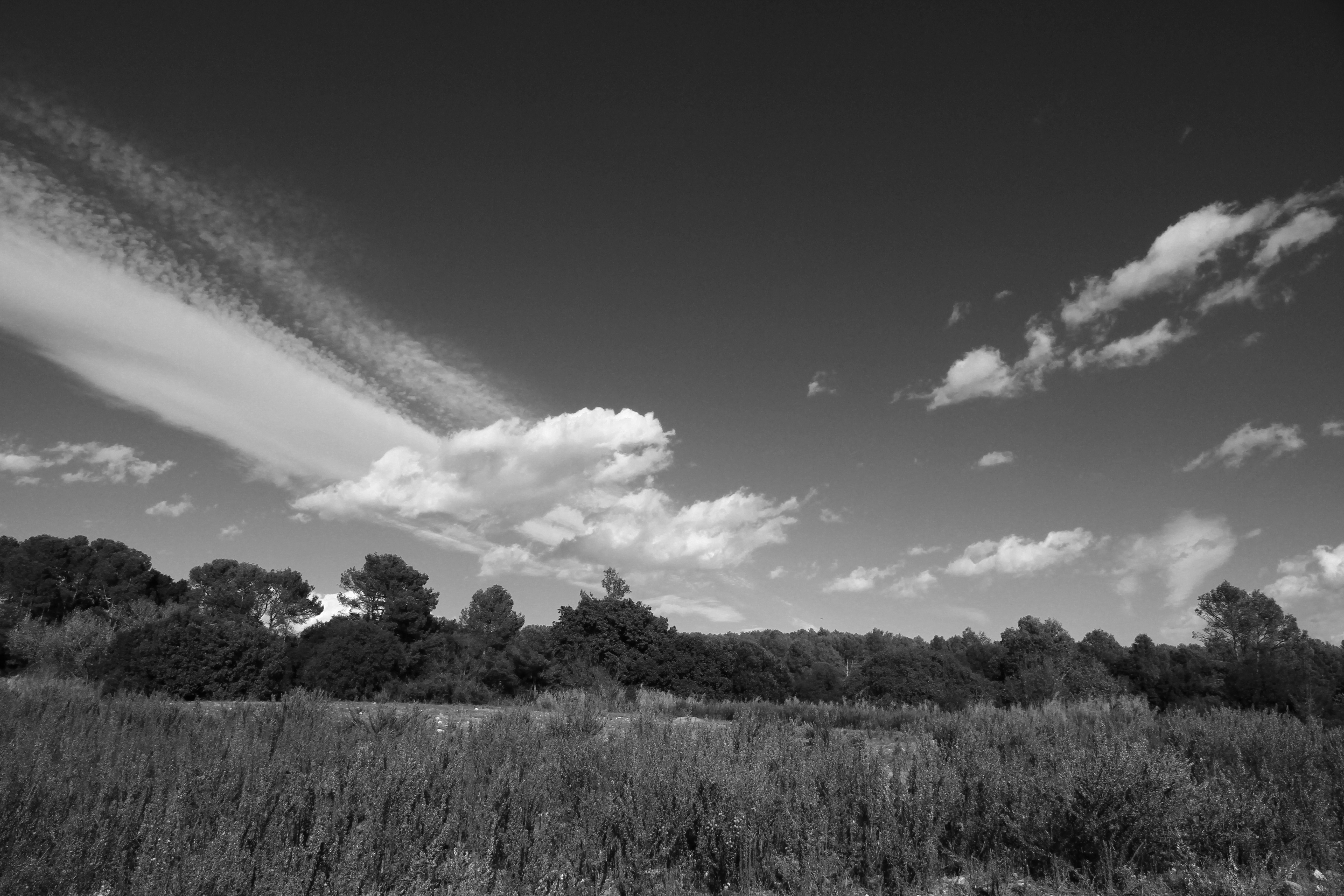 <b>EOS 7D / EF-S 15-85mm F3.5-5.6 IS USM / 5,184×3,456 / 1/640秒 / F8 / -0.3EV / ISO100 / 絞り優先AE / WB:オート / 15mm / ピクチャースタイル：モノクロ / オートライティングオプティマイザ：強め / 高輝度側・階調優先：しない</b>