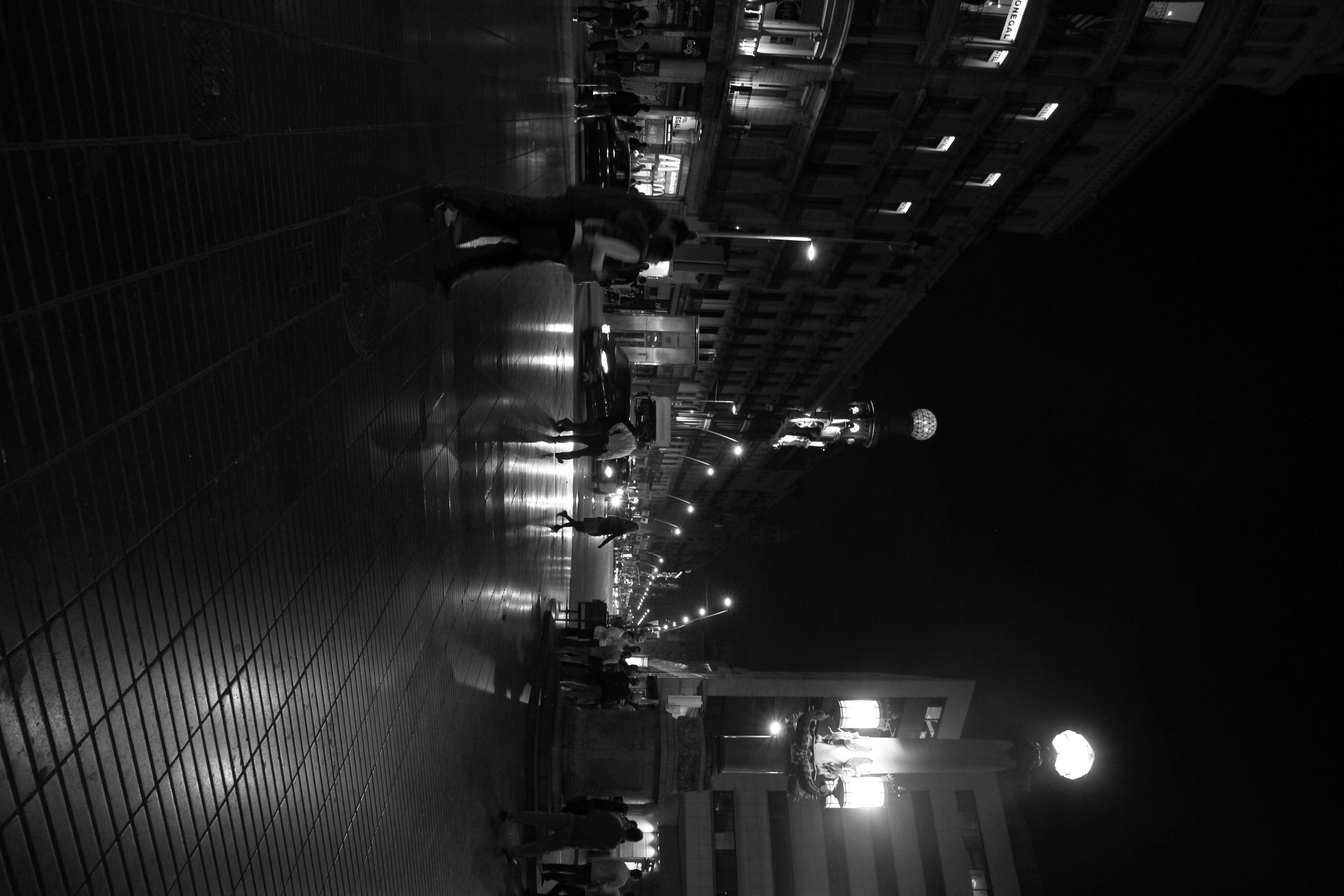 <b>EOS 7D / EF-S 15-85mm F3.5-5.6 IS USM / 3,456×5,184 / 1/25秒 / F4.5 / 0EV / ISO800 / 絞り優先AE / WB:オート / 15mm / ピクチャースタイル：モノクロ / オートライティングオプティマイザ：強め / 高輝度側・階調優先：しない</b>