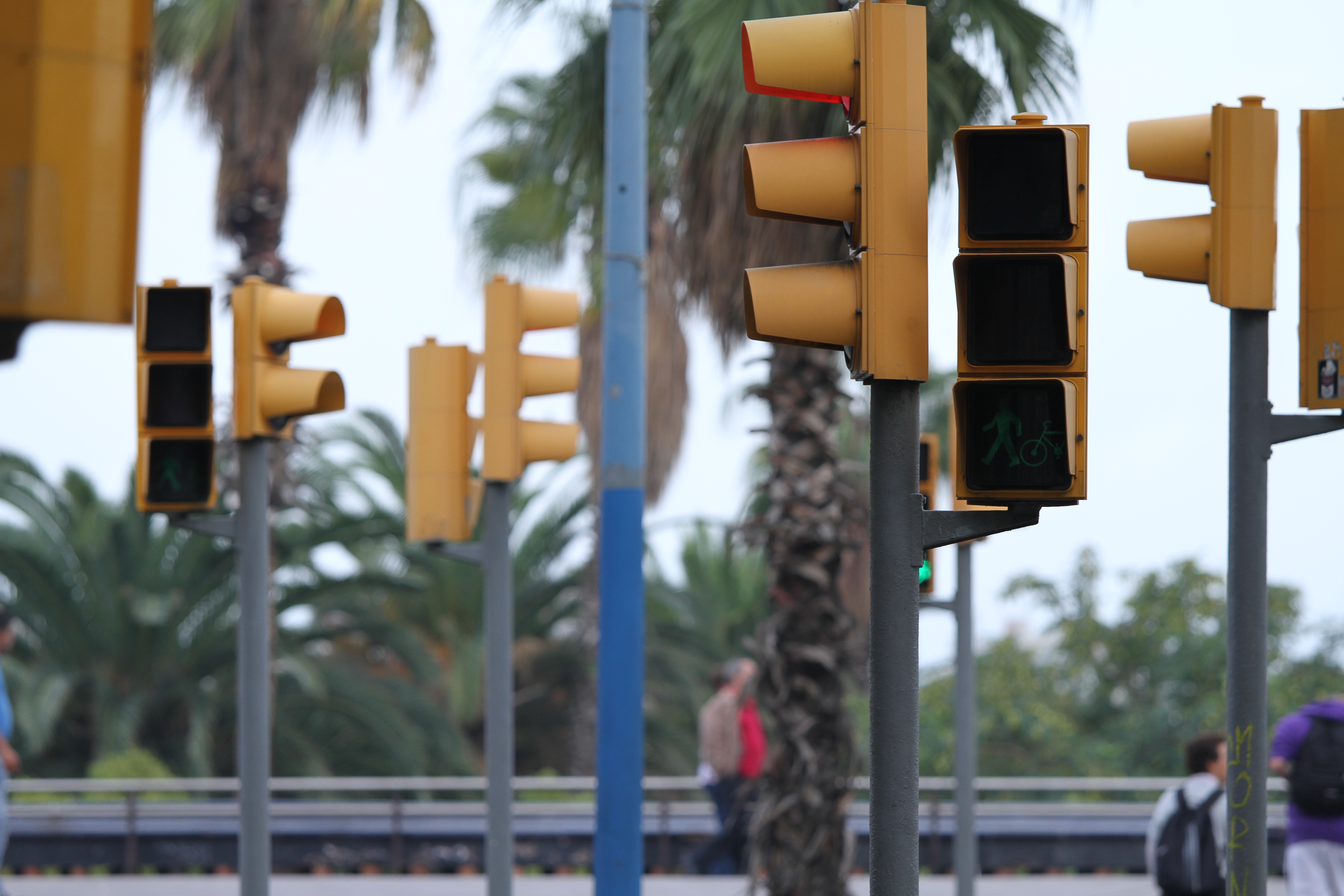 <b>EOS 7D / EF 70-200mm F4 L IS USM / 5,184×3,456 / 1/125秒 / F4 / 0EV / ISO200 / シャッター速度優先AE / WB:オート / 160mm / ピクチャースタイル：スタンダード / オートライティングオプティマイザ：強め / 高輝度側・階調優先：しない</b>