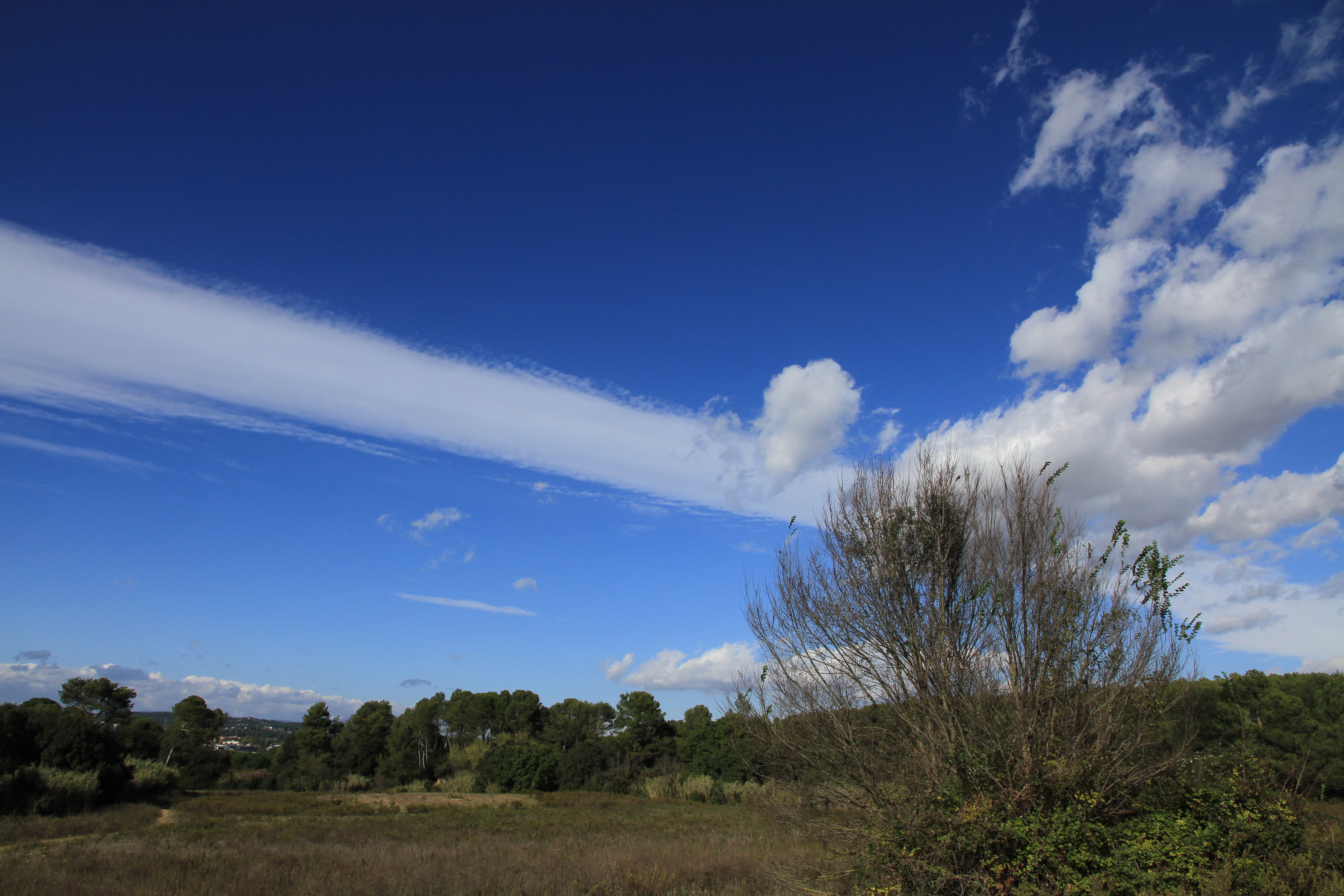 <b>EOS 7D / EF-S 15-85mm F3.5-5.6 IS USM / 5,184×3,456 / 1/800秒 / F8 / -0.7EV / ISO100 / 絞り優先AE / WB:オート / 15mm / ピクチャースタイル：風景 / オートライティングオプティマイザ：強め / 高輝度側・階調優先：しない</b>