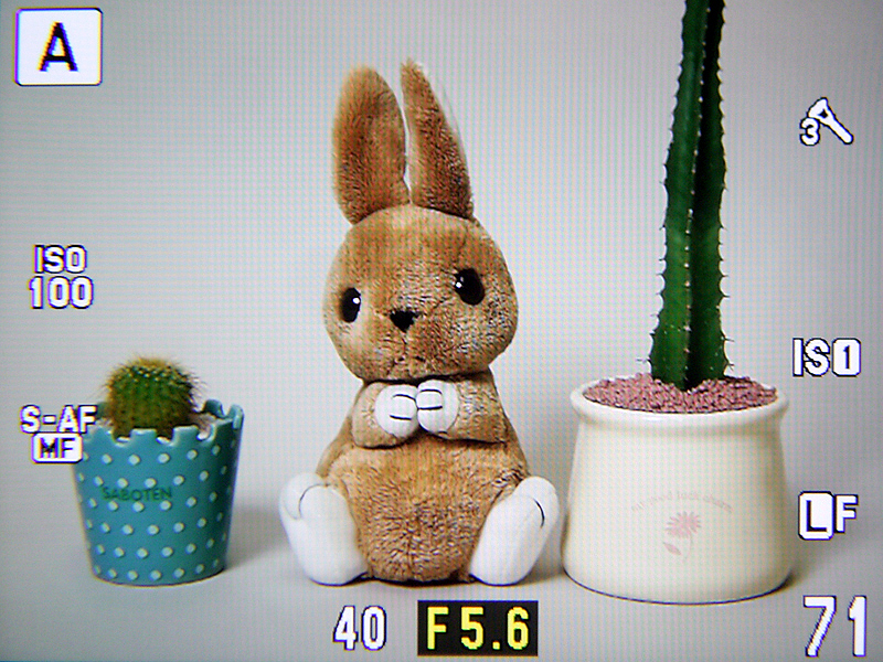 <b>ファインダー内</b>