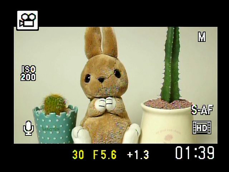 <b>マニュアルモードでの動画撮影画面。絞り、シャッター速度、ISO感度を任意に設定できる</b>