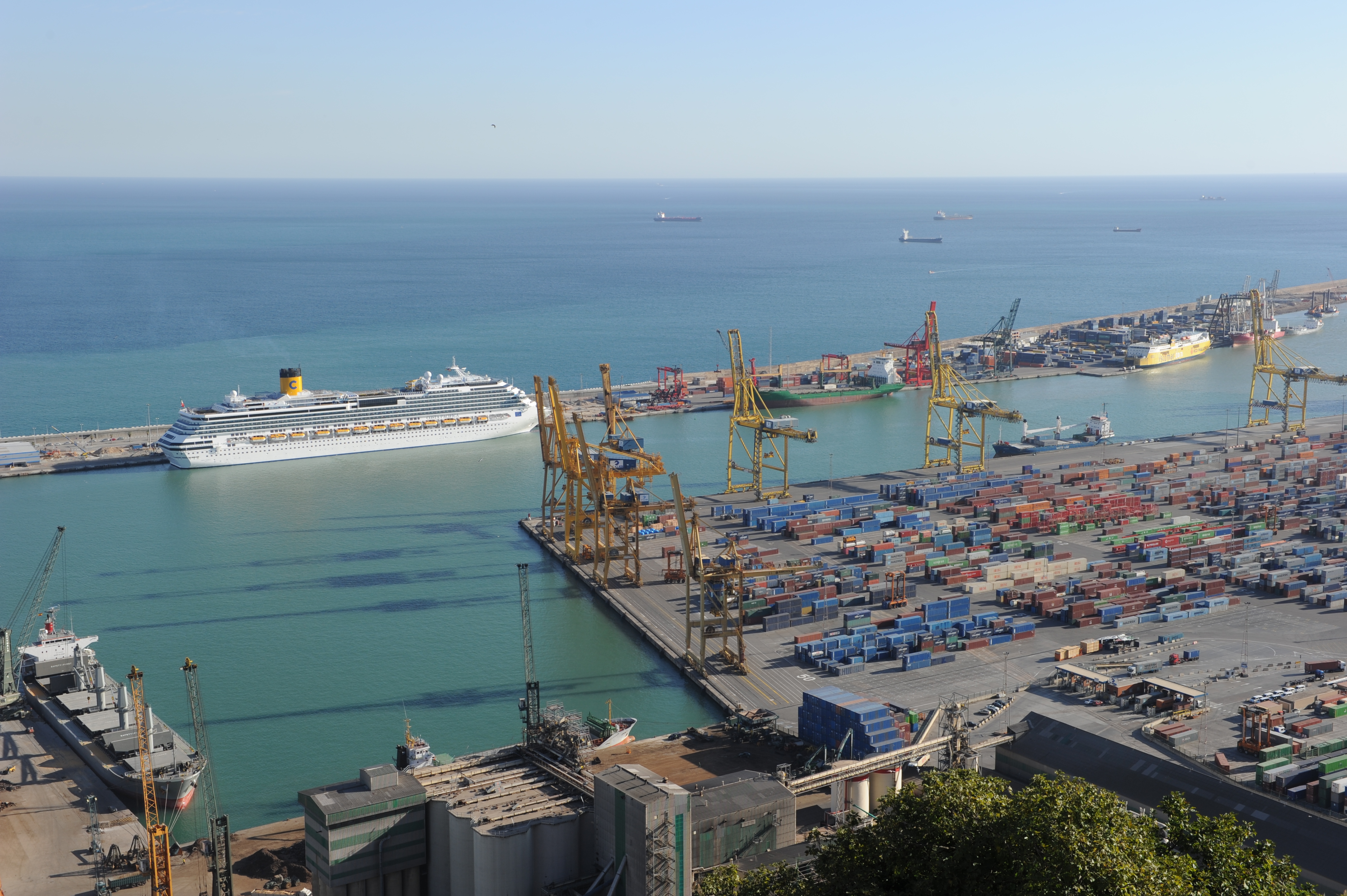 <b>スタンダード</b>