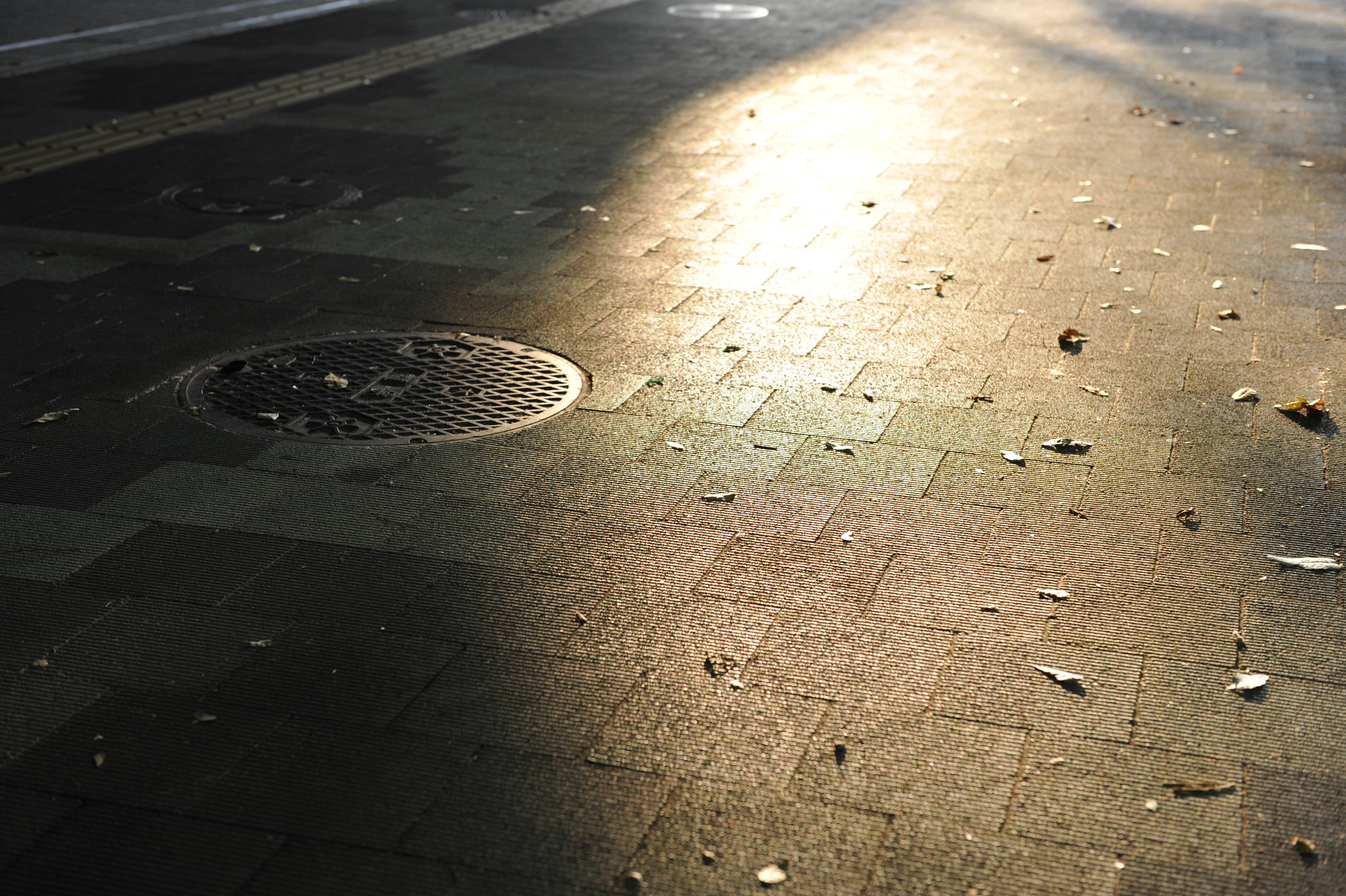 <b>アクティブＤ-ライティング：弱め<br>D3S / AF-S NIKKOR 24-70mm F2.8 G ED / 約6.9MB / 4,256×2,832 / 1/80秒 / F4 / 0EV / ISO400 / WB:オート / 50mm</b>