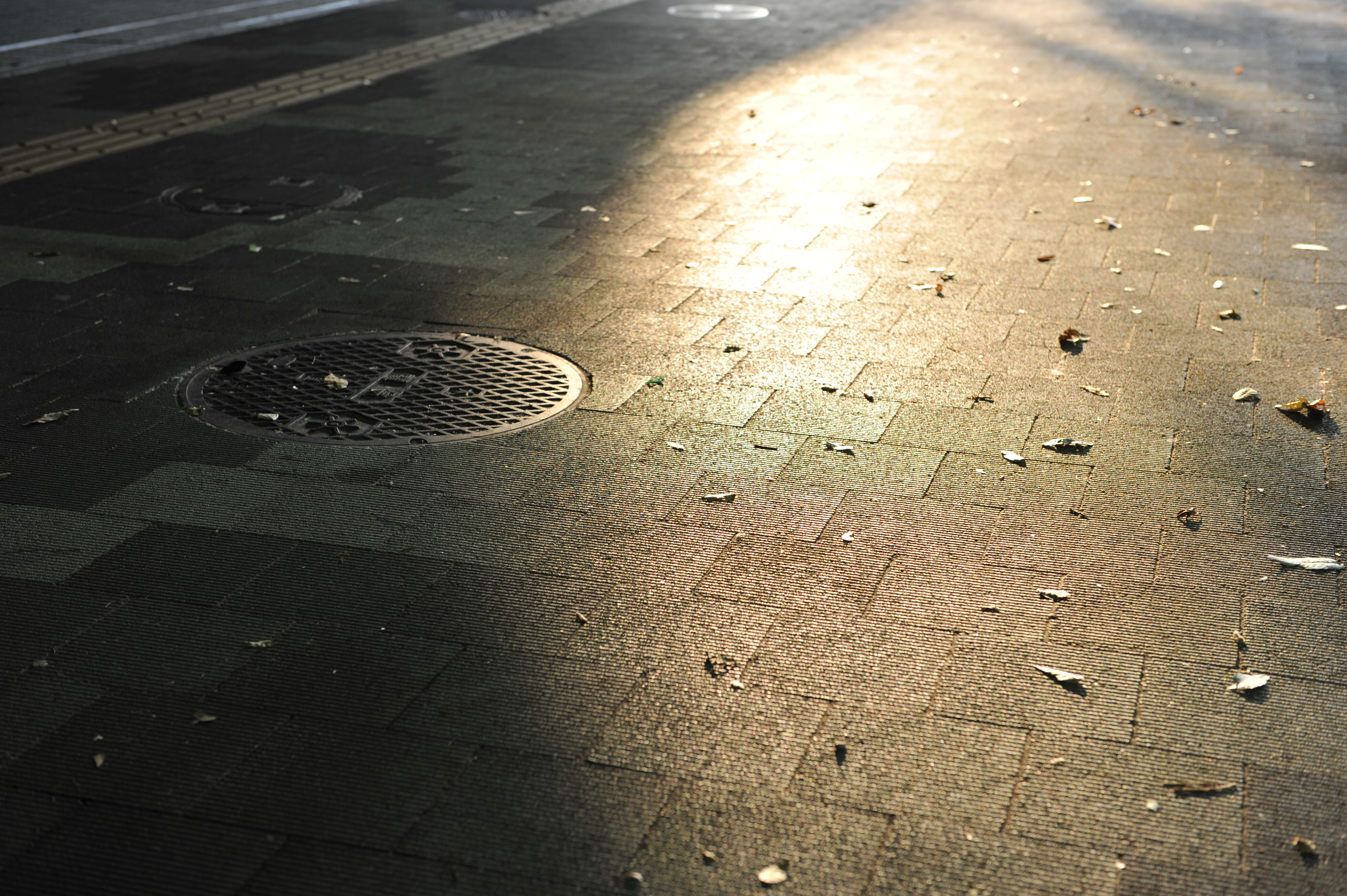 <b>アクティブＤ-ライティング：標準<br>D3S / AF-S NIKKOR 24-70mm F2.8 G ED / 約6.3MB / 4,256×2,832 / 1/100秒 / F4 / 0EV / ISO400 / WB:オート / 50mm</b>