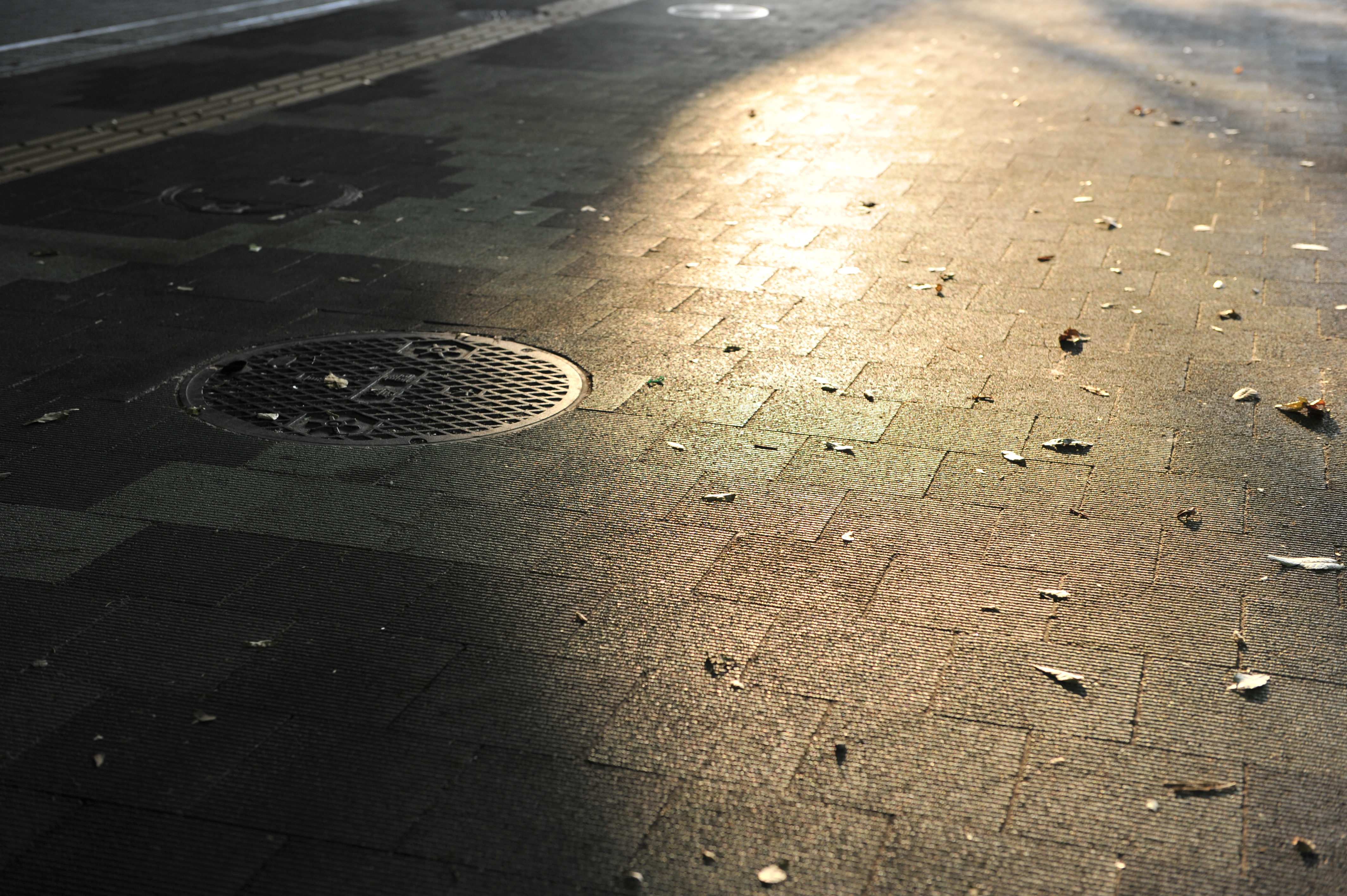 <b>アクティブＤ-ライティング：強め<br>D3S / AF-S NIKKOR 24-70mm F2.8 G ED / 約6.0MB / 4,256×2,832 / 1/125秒 / F4 / 0EV / ISO400 / WB:オート / 50mm</b>