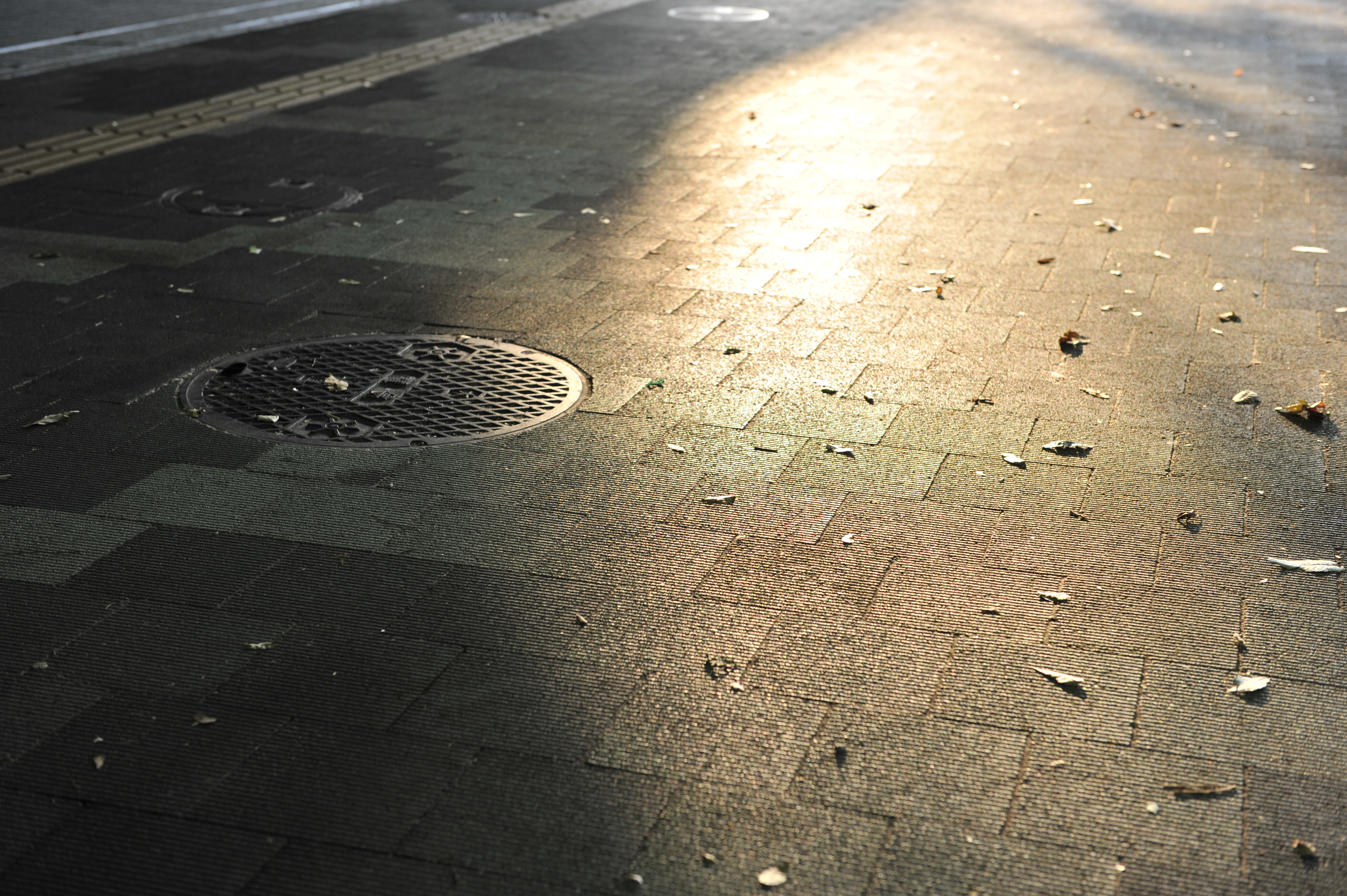 <b>アクティブＤ-ライティング：オート<br>D3S / AF-S NIKKOR 24-70mm F2.8 G ED / 約6.1MB / 4,256×2,832 / 1/100秒 / F4 / 0EV / ISO400 / WB:オート / 50mm</b>