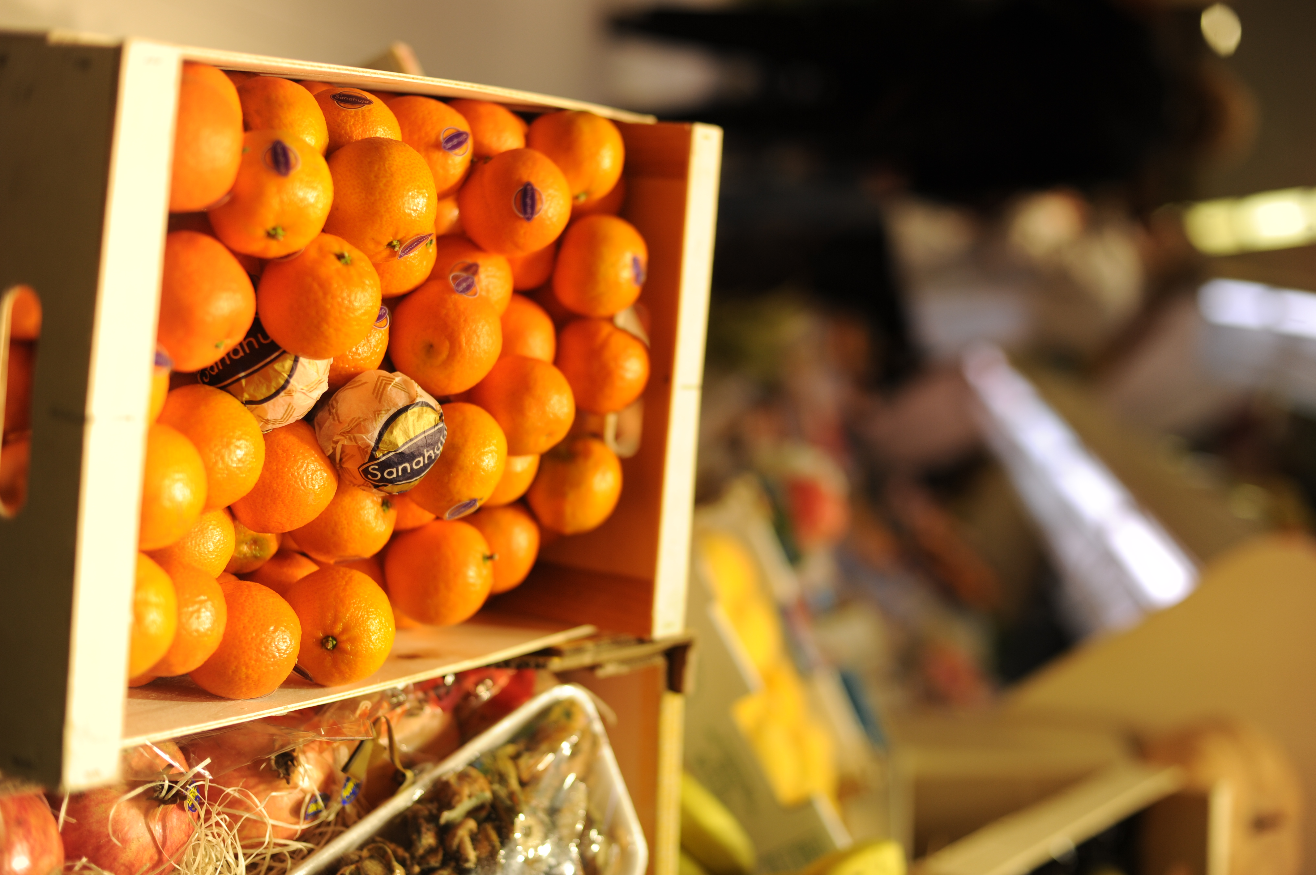 <b>D3S / AF 50mm f/1.4D / 約3.6MB / 2,832×4,256 / 1/800秒 / F2 / 0EV / ISO400 / WB:オート / 50mm</b>