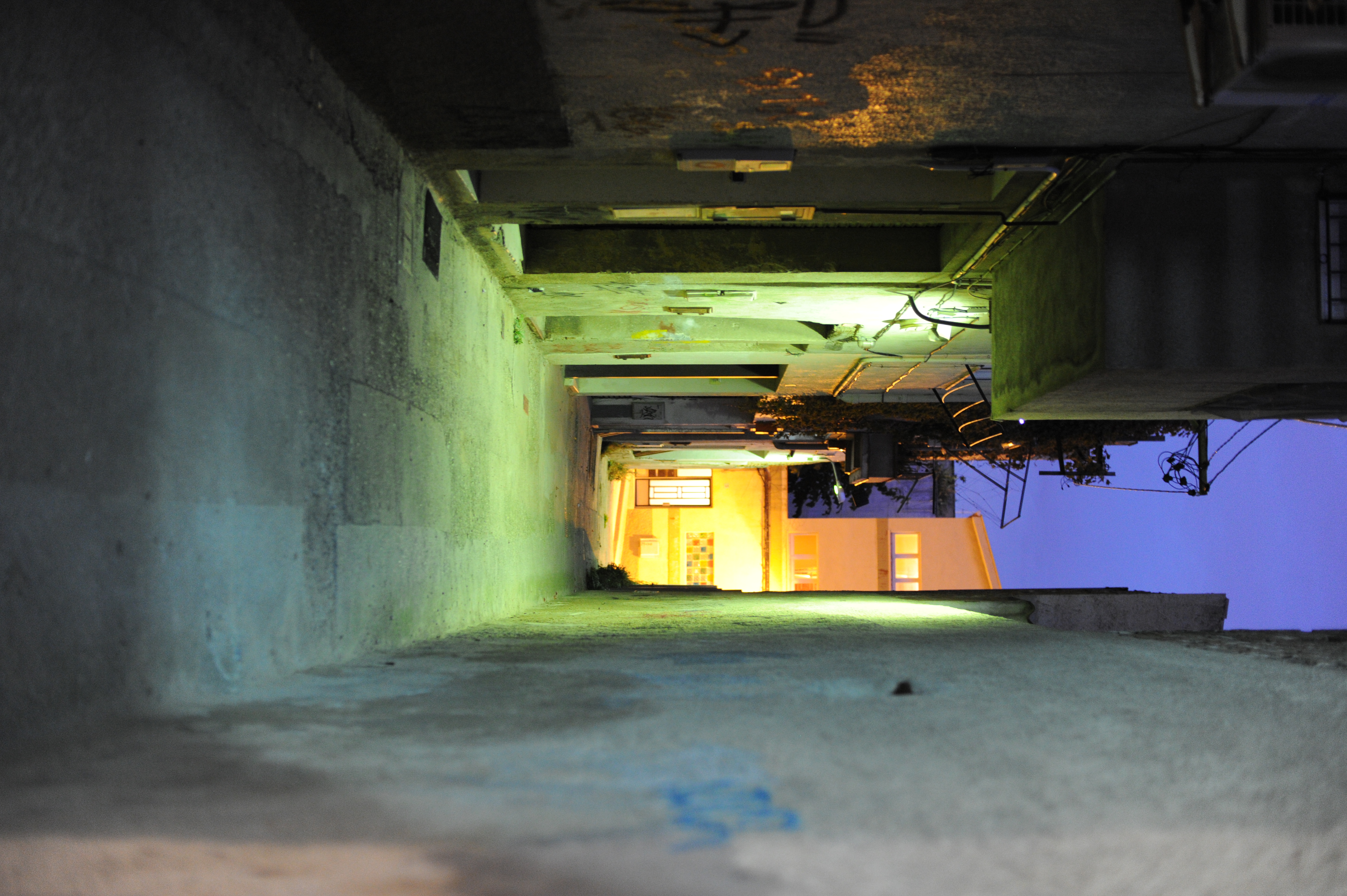 <b>D3S / AF 50mm f/1.4D / 約5.6MB / 2,832×4,256 / 1/10秒 / F2 / 0EV / ISO3200 / WB:オート / 50mm</b>