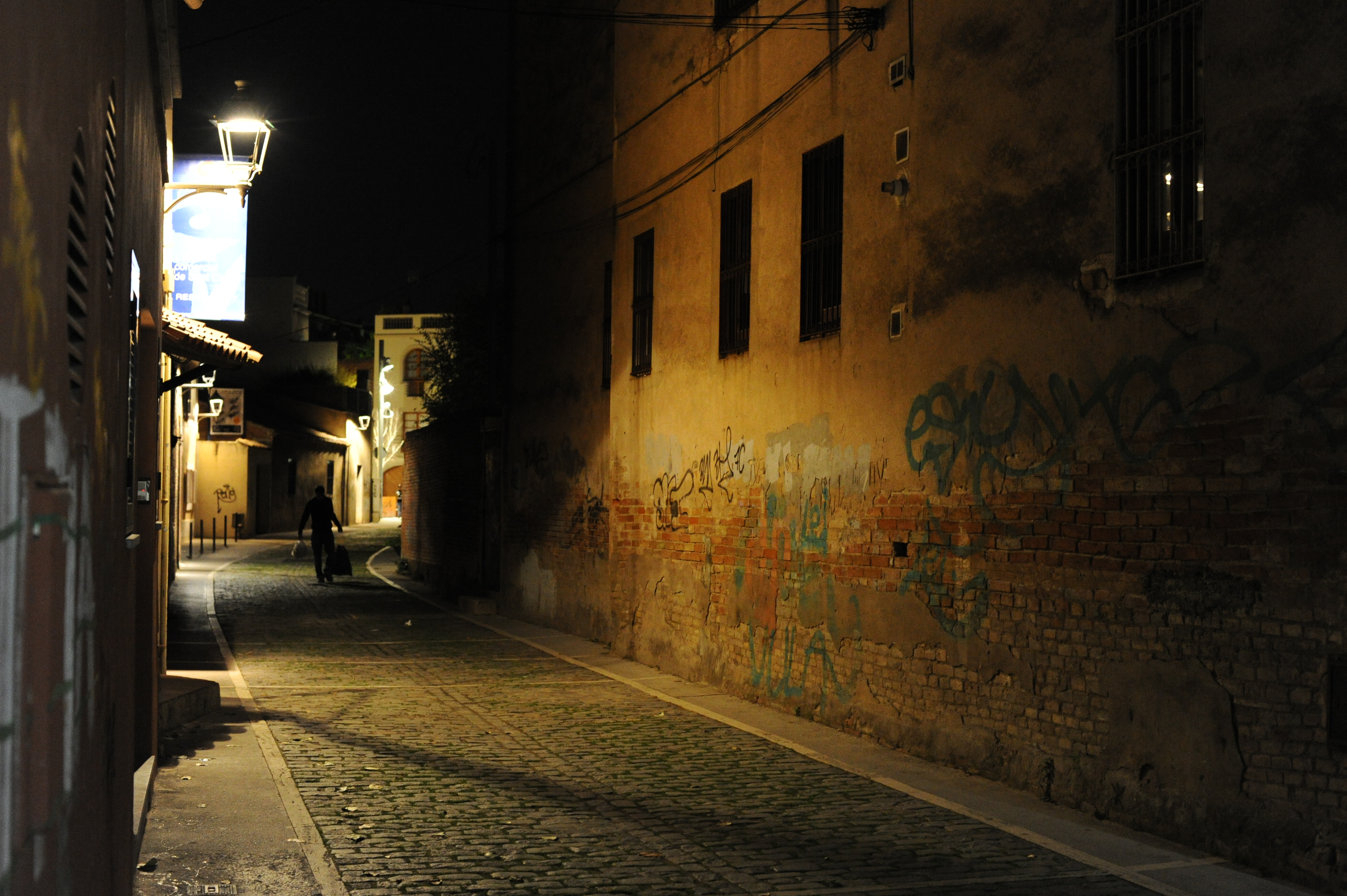 <b>D3S / AF 50mm f/1.4D / 約5.5MB / 4,256×2,832 / 1/30秒 / F4 / 0EV / ISO6400 / WB:オート / 50mm</b>