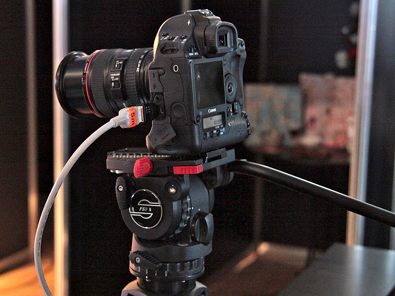 <b>未発売のEOS-1D Mark IVも試すことができる</b>