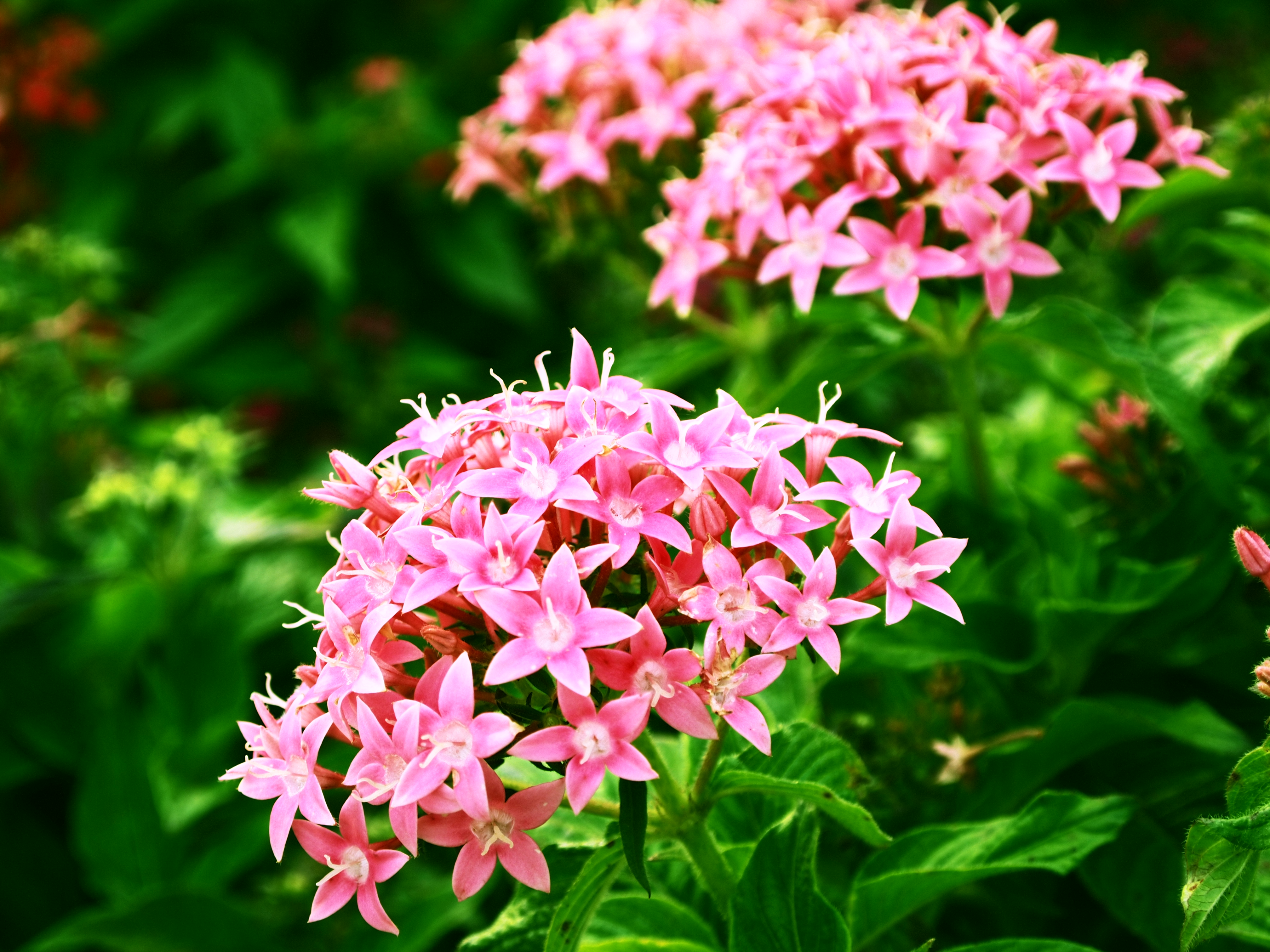 <b>クロスプロセス</b>