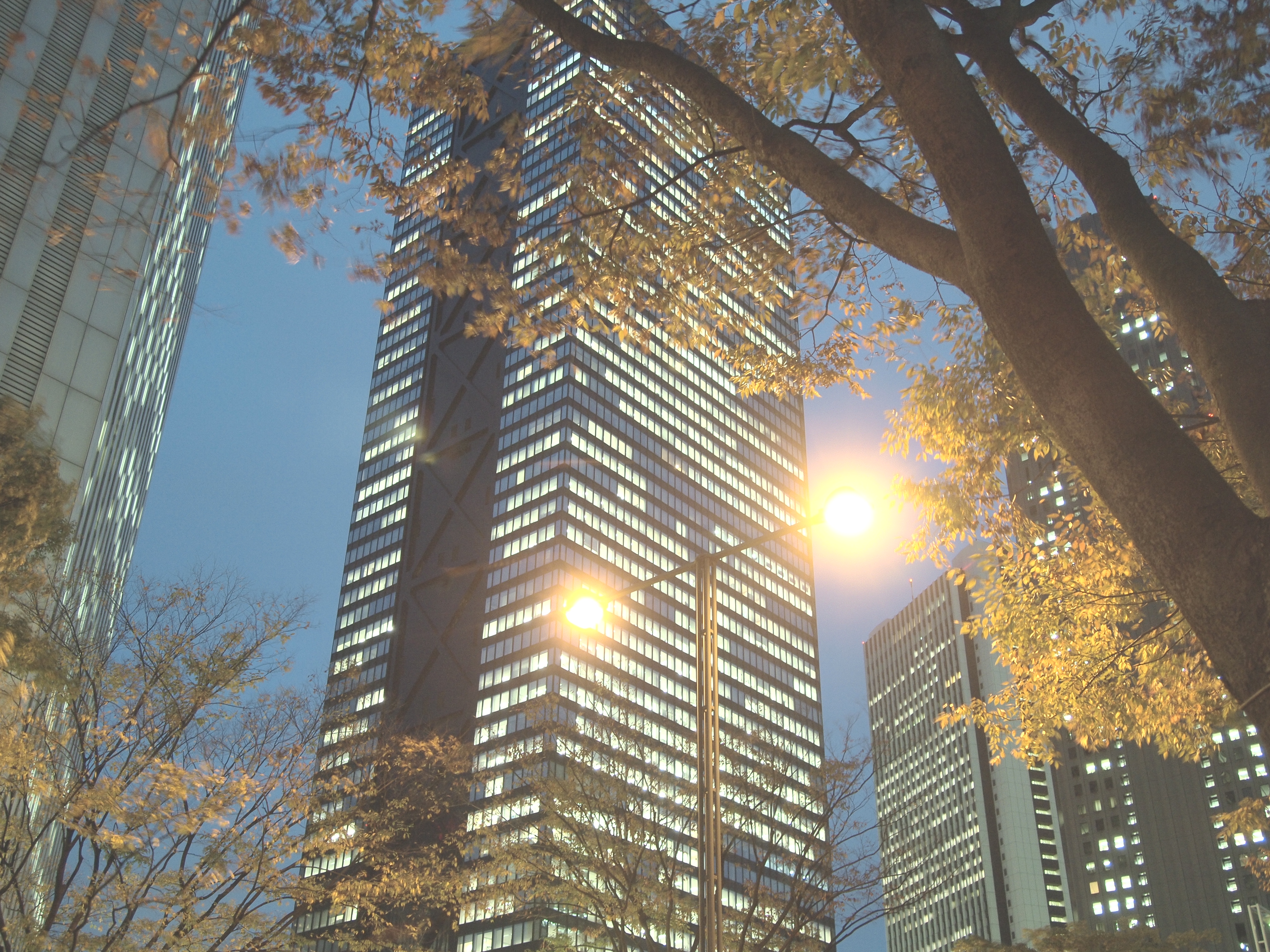 <b>デイドリーム</b>