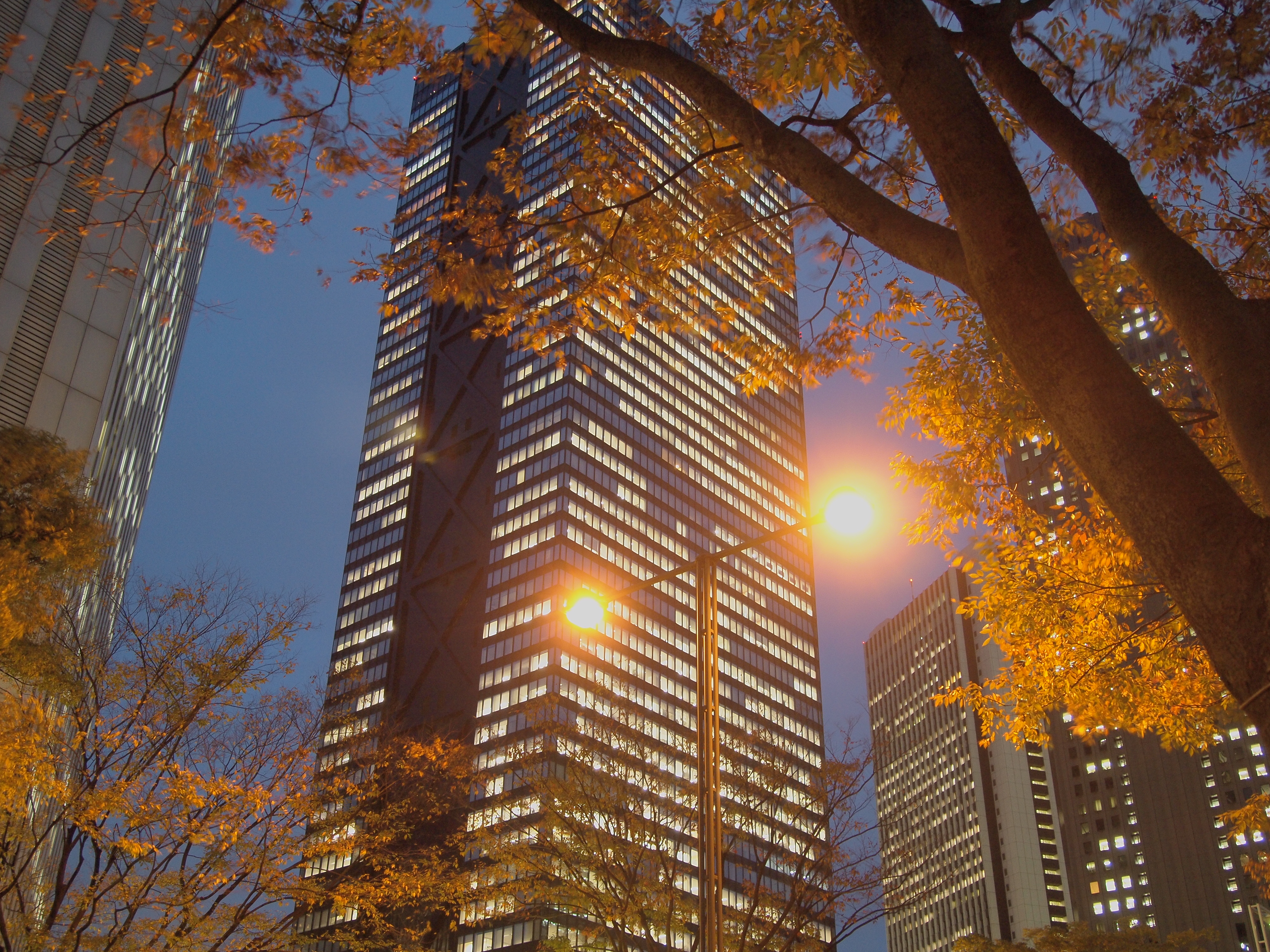 <b>ライトトーン</b>