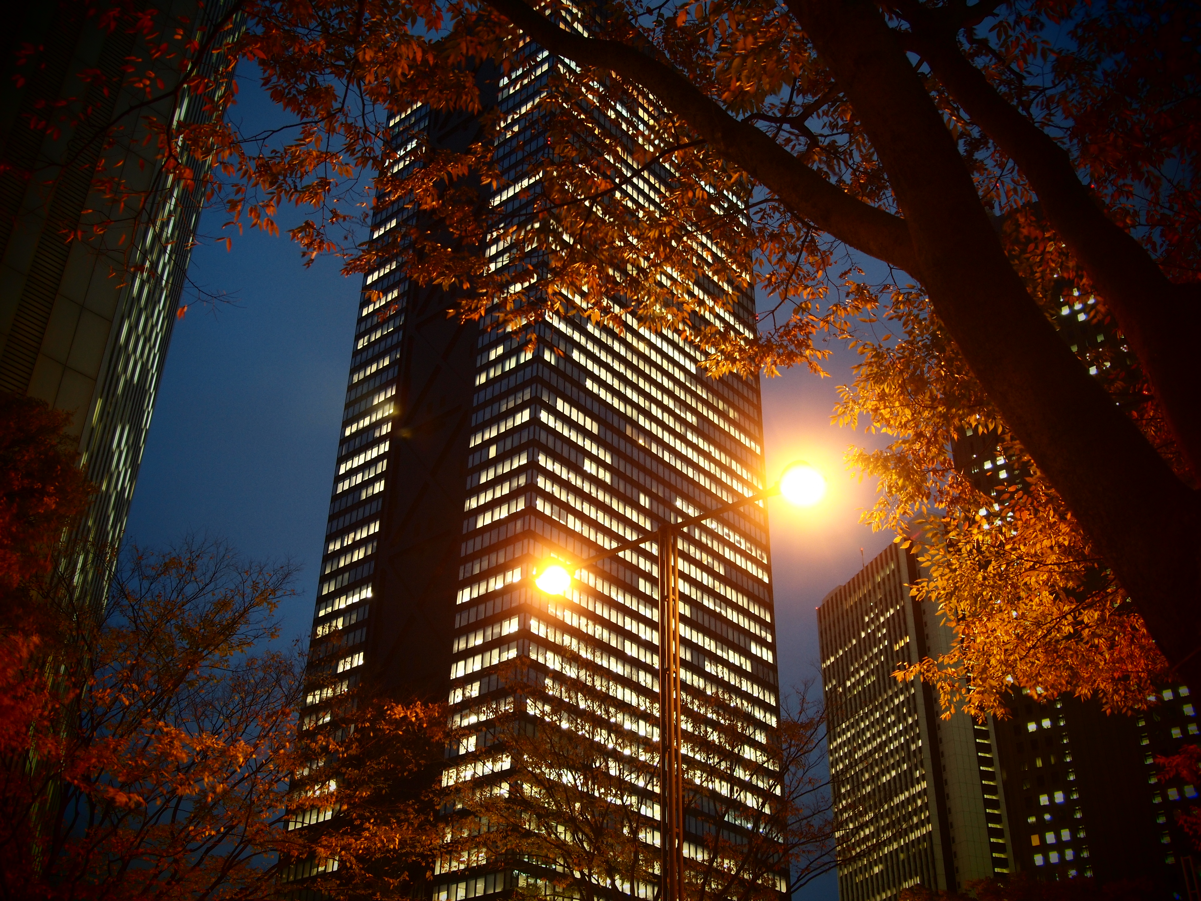 <b>トイフォト</b>