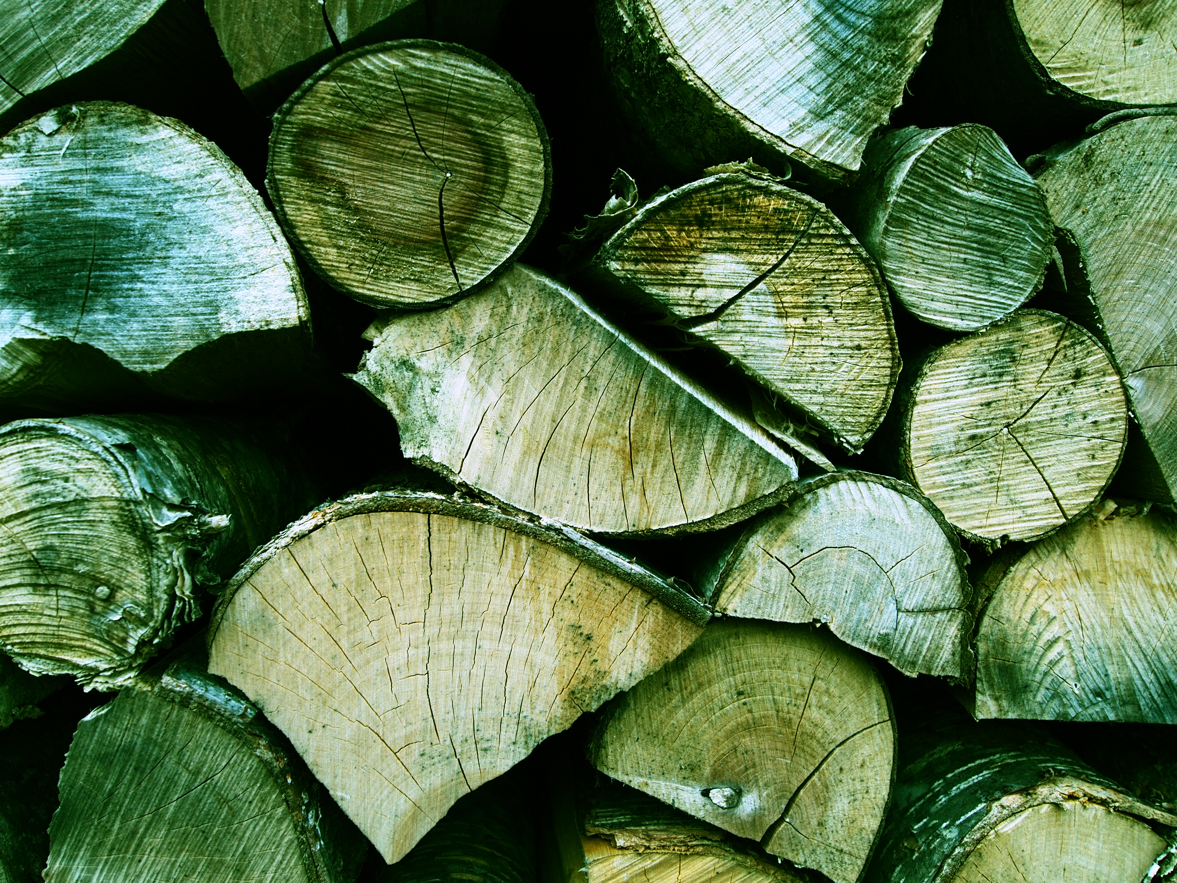 <b>E-P2 / M.ZUIKO DIGITAL ED 14-42mm F3.5-5.6 / 4,032×3,024 / 1/125秒 / F4.5 / -0.3EV / ISO200 / WB:オート / 14mm</b>