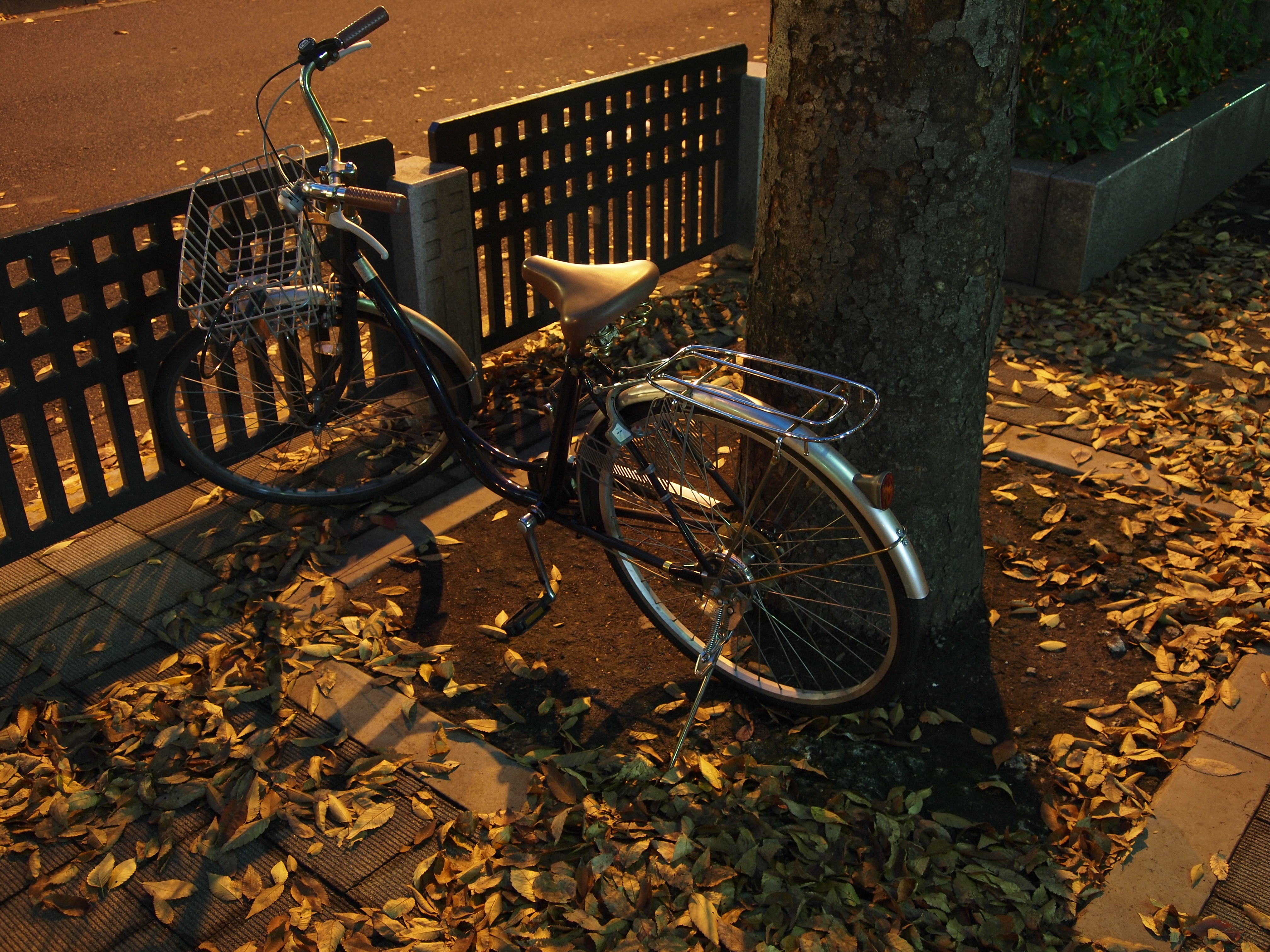 <b>E-P2 / M.ZUIKO DIGITAL ED 14-42mm F3.5-5.6 / 4,032×3,024 / 1/1.6秒 / F3.9 / 0EV / ISO400 / プログラムAE / WB:オート / 18mm / アートフィルター：― / 仕上り設定：NATURAL</b>