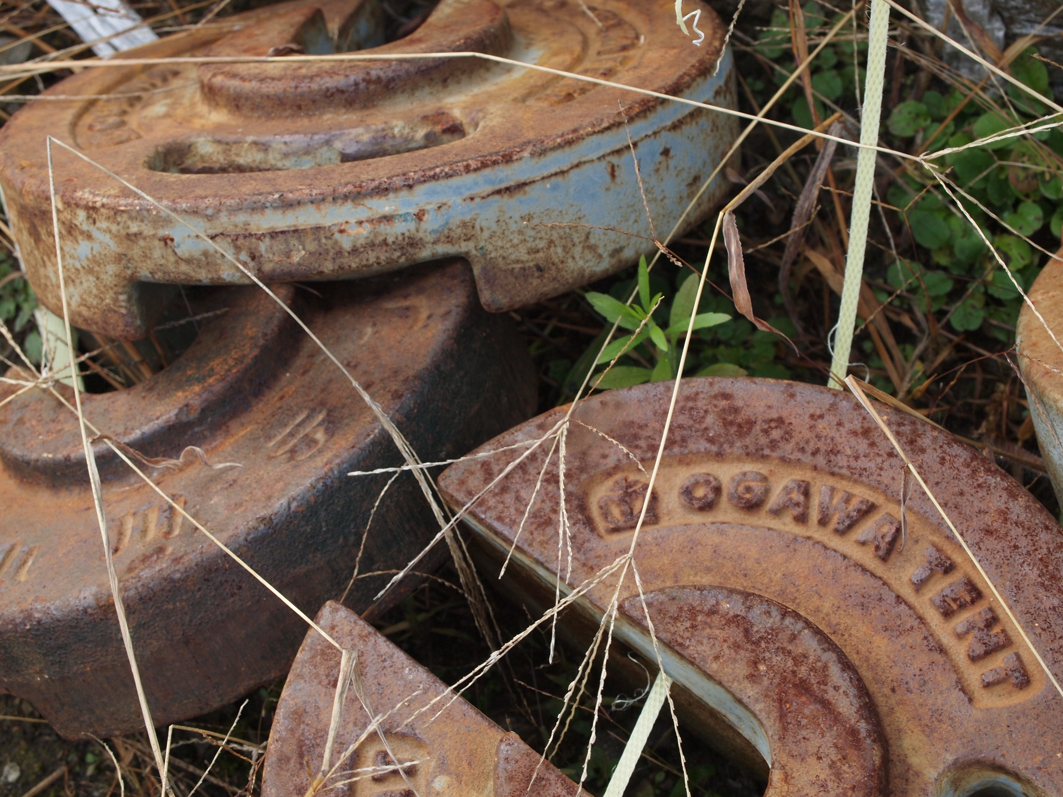 <b>E-P2 / M.ZUIKO DIGITAL ED 14-42mm F3.5-5.6 / 4,032×3,024 / 1/160秒 / F7 / -0.7EV / ISO400 / プログラムAE / WB:オート / 42mm / アートフィルター：― / 仕上り設定：NATURAL</b>