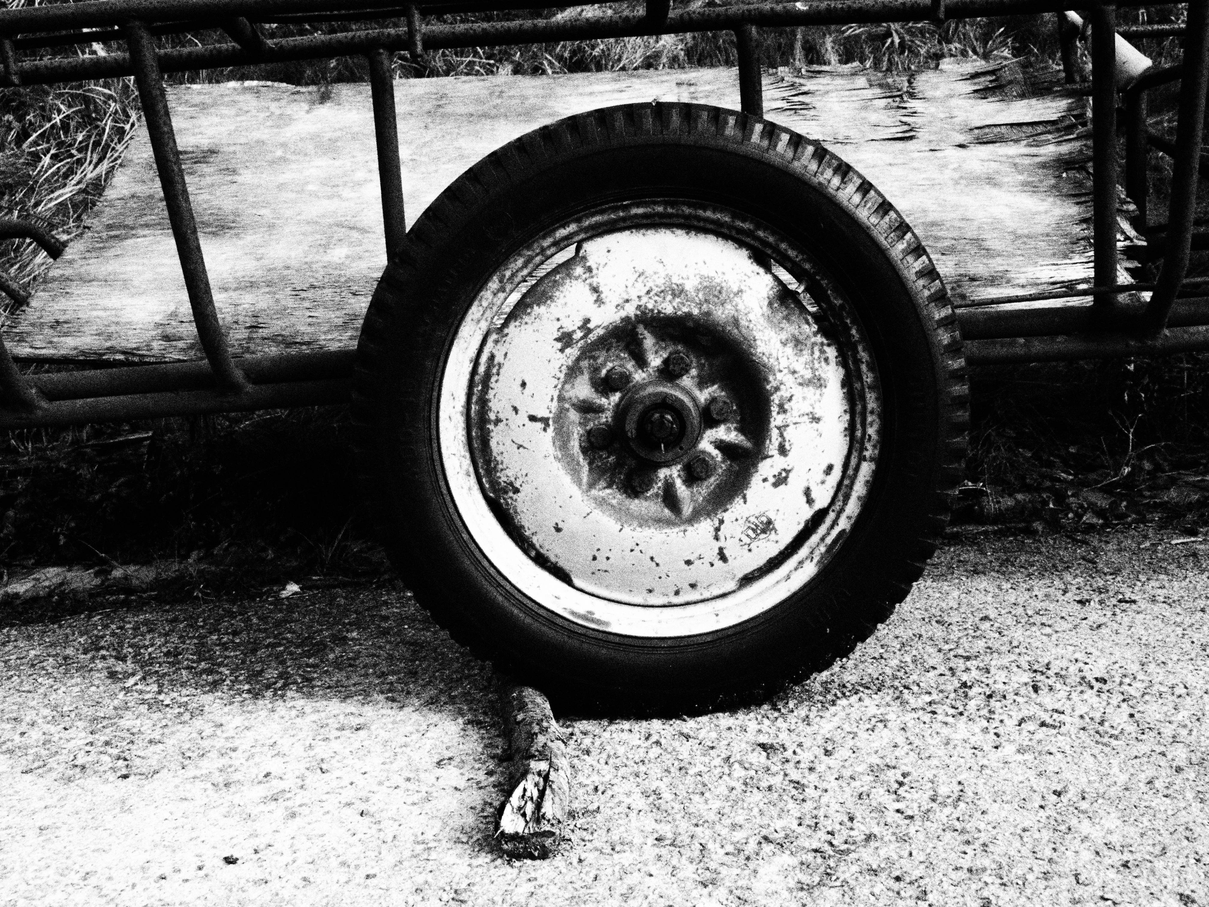 <b>E-P2 / M.ZUIKO DIGITAL ED 14-42mm F3.5-5.6 / 4,032×3,024 / 1/160秒 / F5.6 / -0.7EV / ISO100 / Creative / WB:オート / 18mm / アートフィルター：ラフモノクローム / 仕上り設定：NATURAL</b>