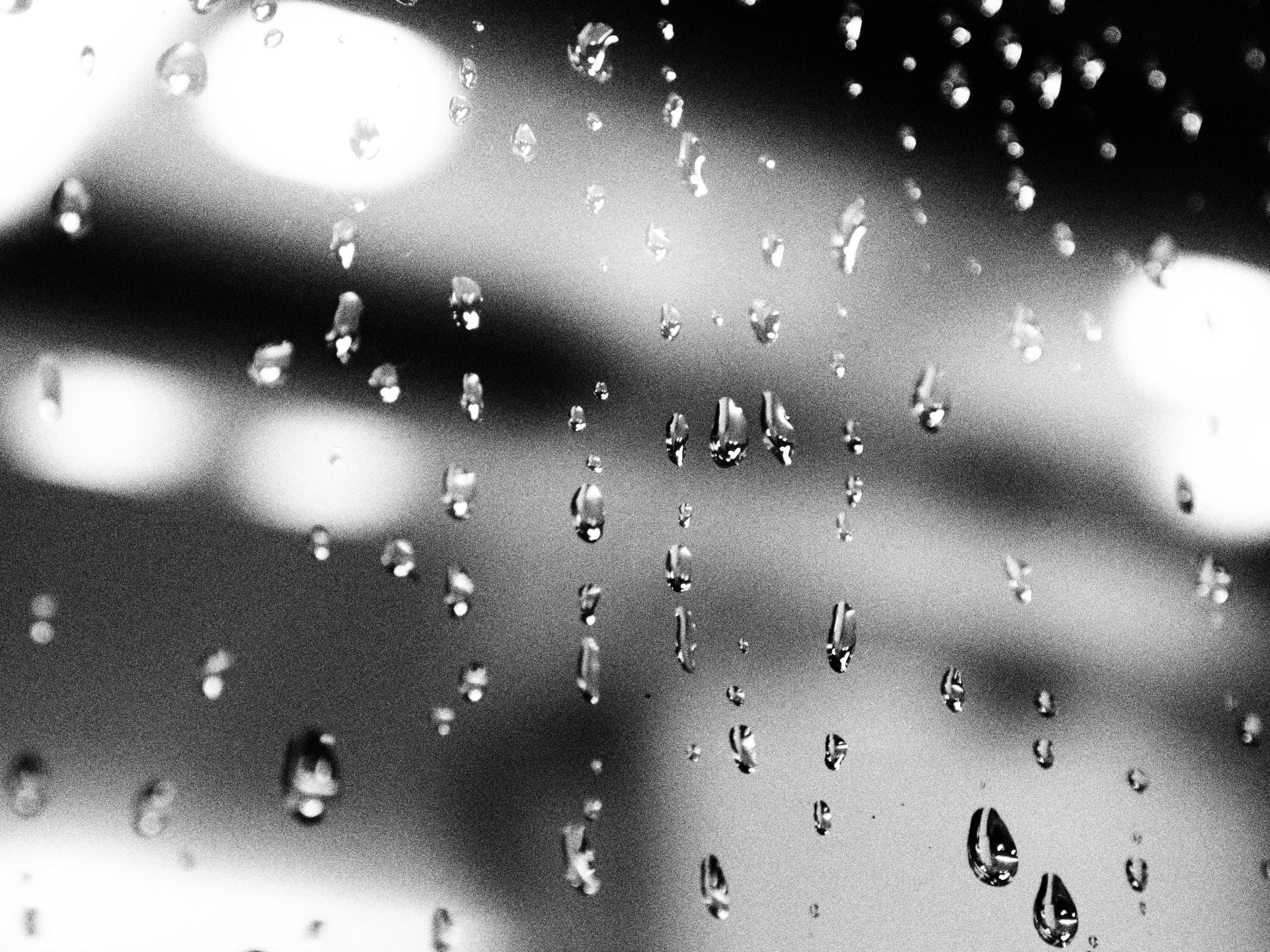 <b>E-P2 / M.ZUIKO DIGITAL ED 14-42mm F3.5-5.6 / 4,032×3,024 / 1/60秒 / F5.6 / +0.3EV / ISO400 / Creative / WB:オート / 42mm / アートフィルター：ラフモノクローム / 仕上り設定：NATURAL</b>