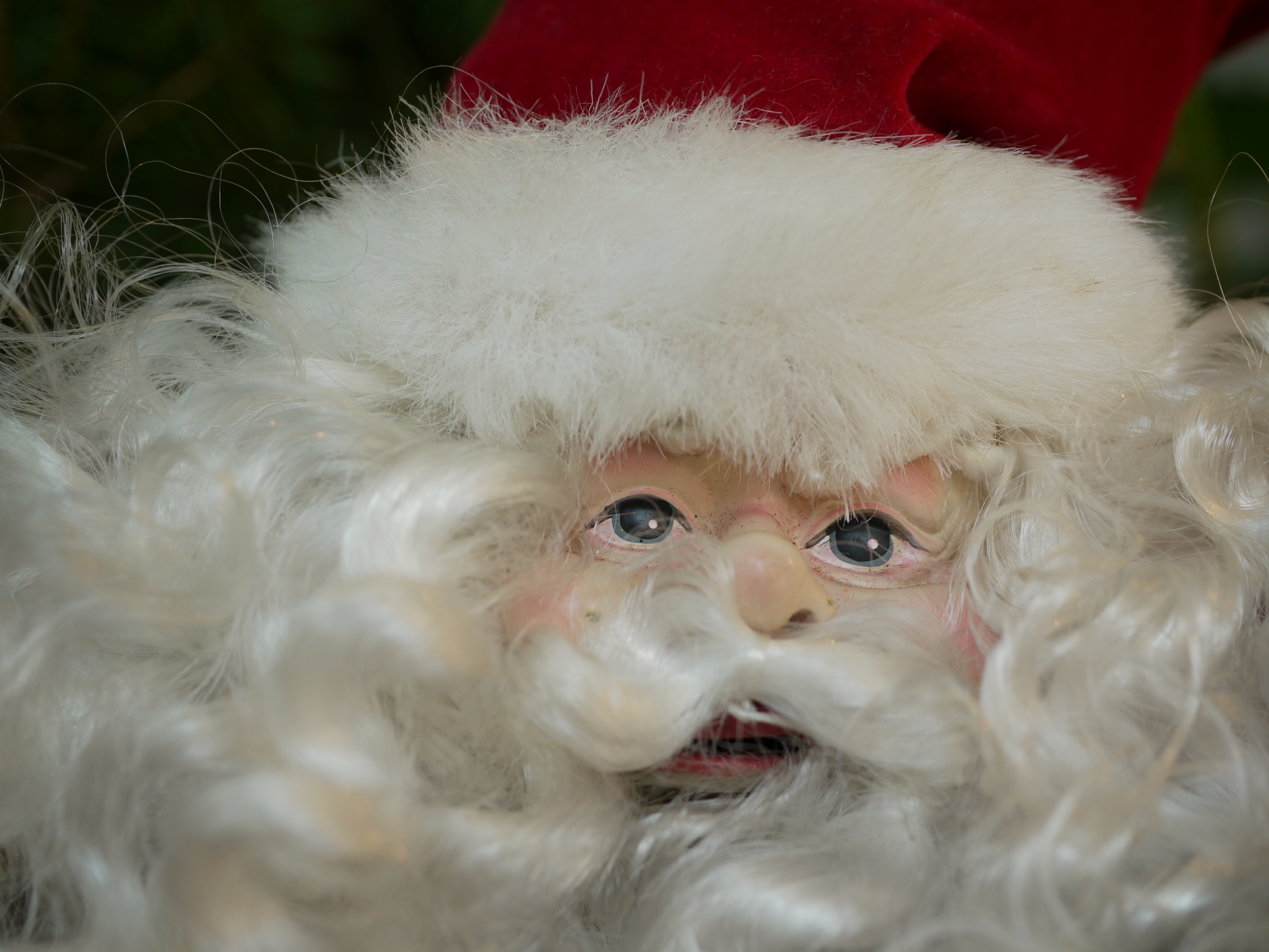 <b>DMC-GH1 / LEICA DG MACRO-ELMARIT 45mm F2.8 ASPH. MEGA O.I.S. / 約5.0MB / 4,000×3,000 / 1/15秒 / F4 / +0.3EV / ISO100 / WB:日陰</b>