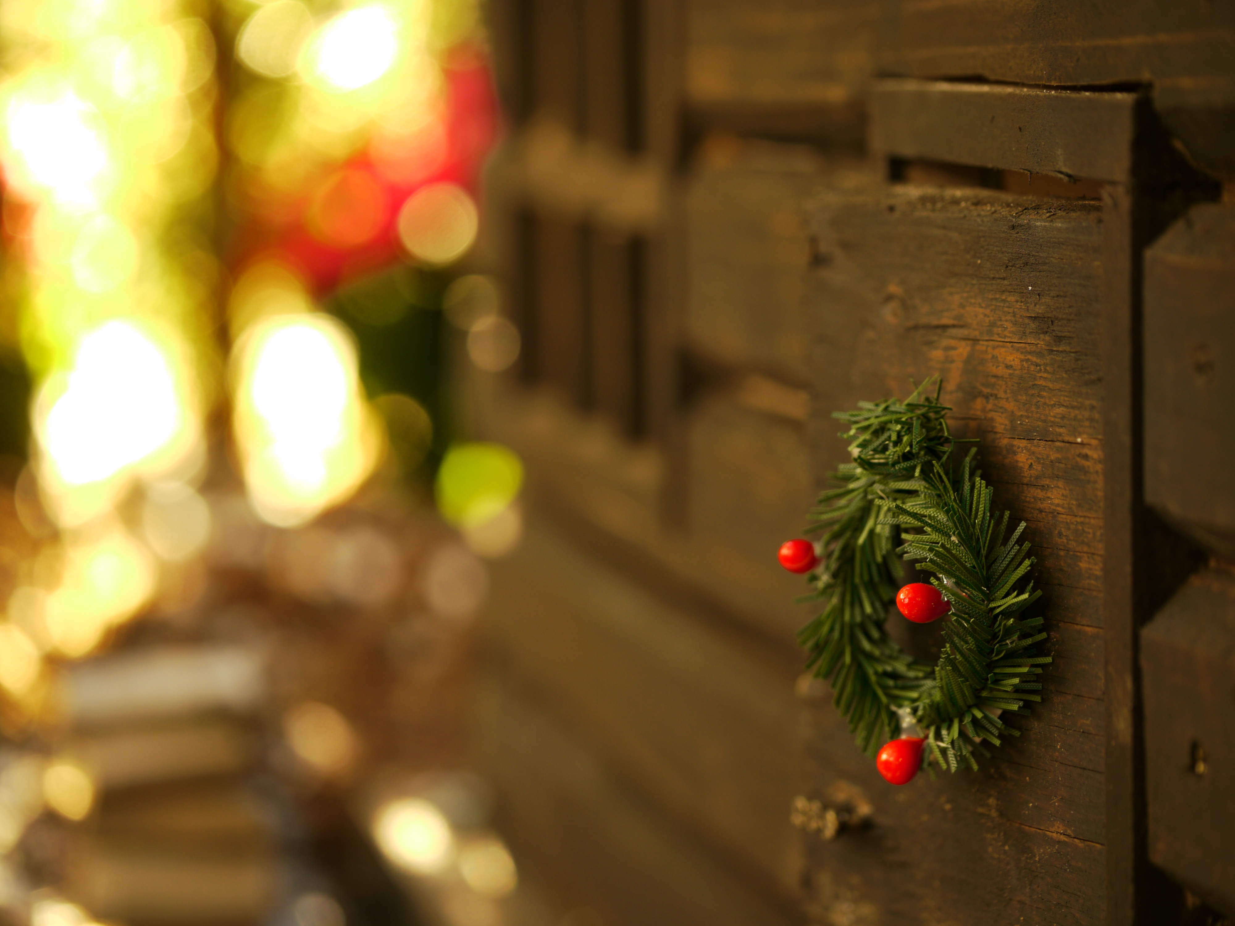 <b>DMC-GH1 / LEICA DG MACRO-ELMARIT 45mm F2.8 ASPH. MEGA O.I.S. / 約4.4MB / 4,000×3,000 / 1/6秒 / F3.2 / -0.3EV / ISO100 / WB:日陰</b>