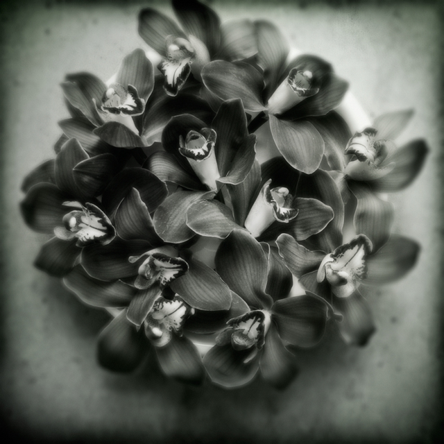 <b>(c)鈴木光雄</b>