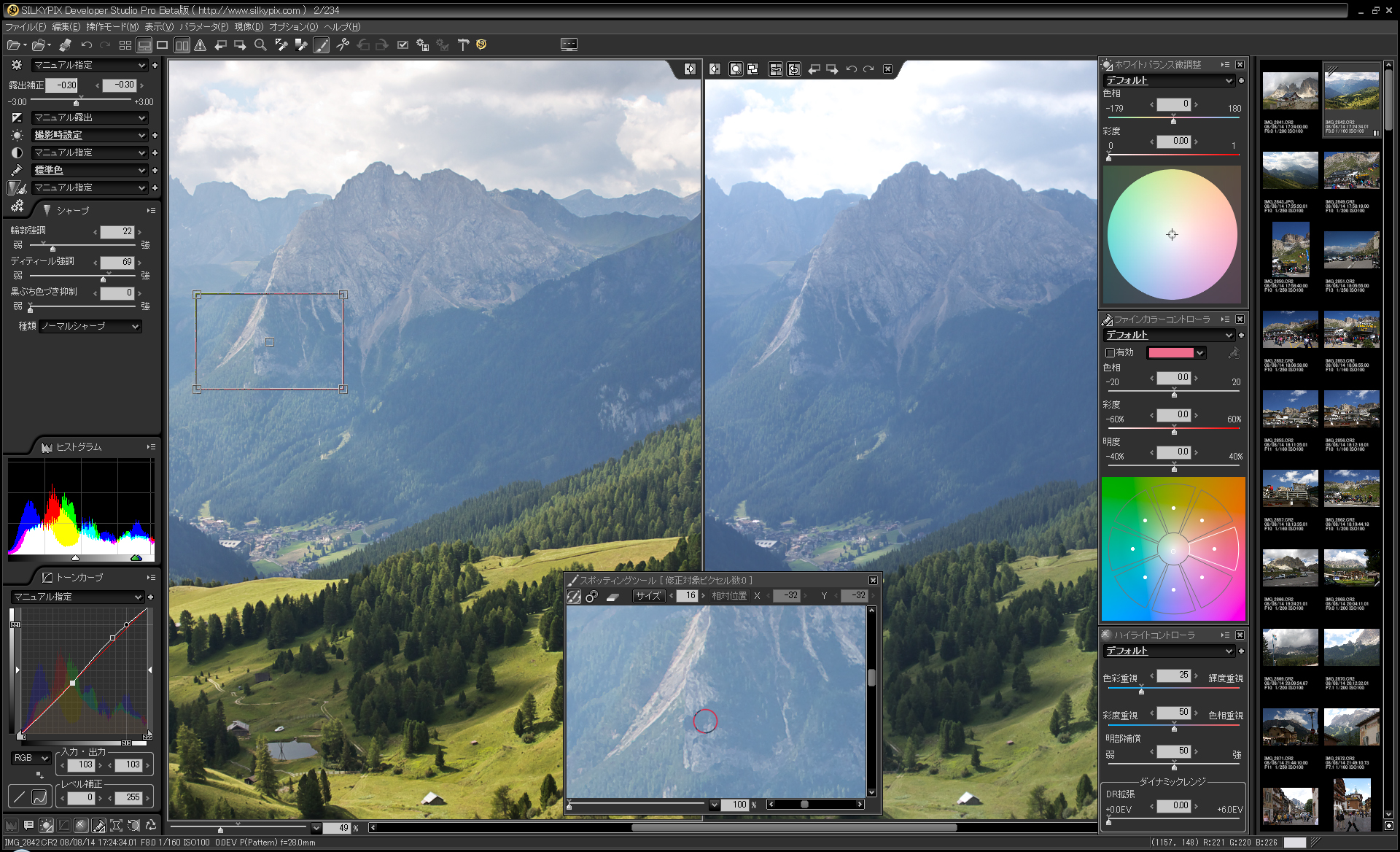 <b>SILKYPIX Developer Studio Pro</b>
