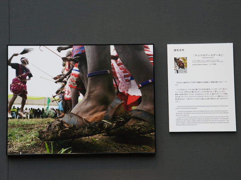 <b>プロ部門1位の作品「ケニアのアースデー#2」（Jacob Otieno氏）</b>