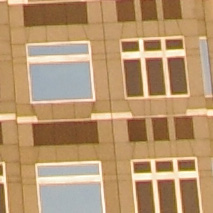 <b>（左写真の一部を等倍に拡大）</b>