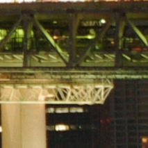 <b>（左写真の一部を等倍に拡大）</b>