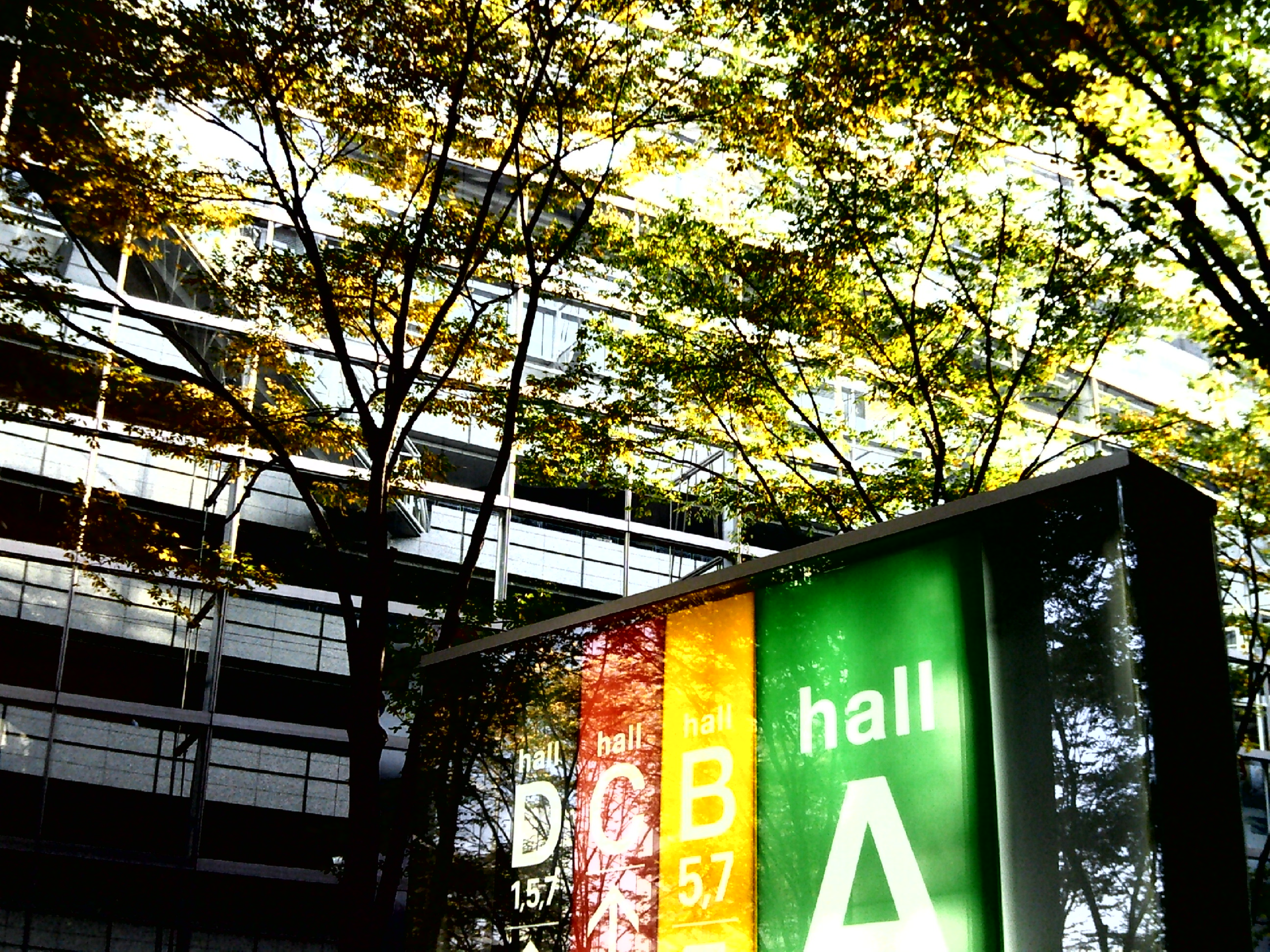 <b>コントラスト</b>