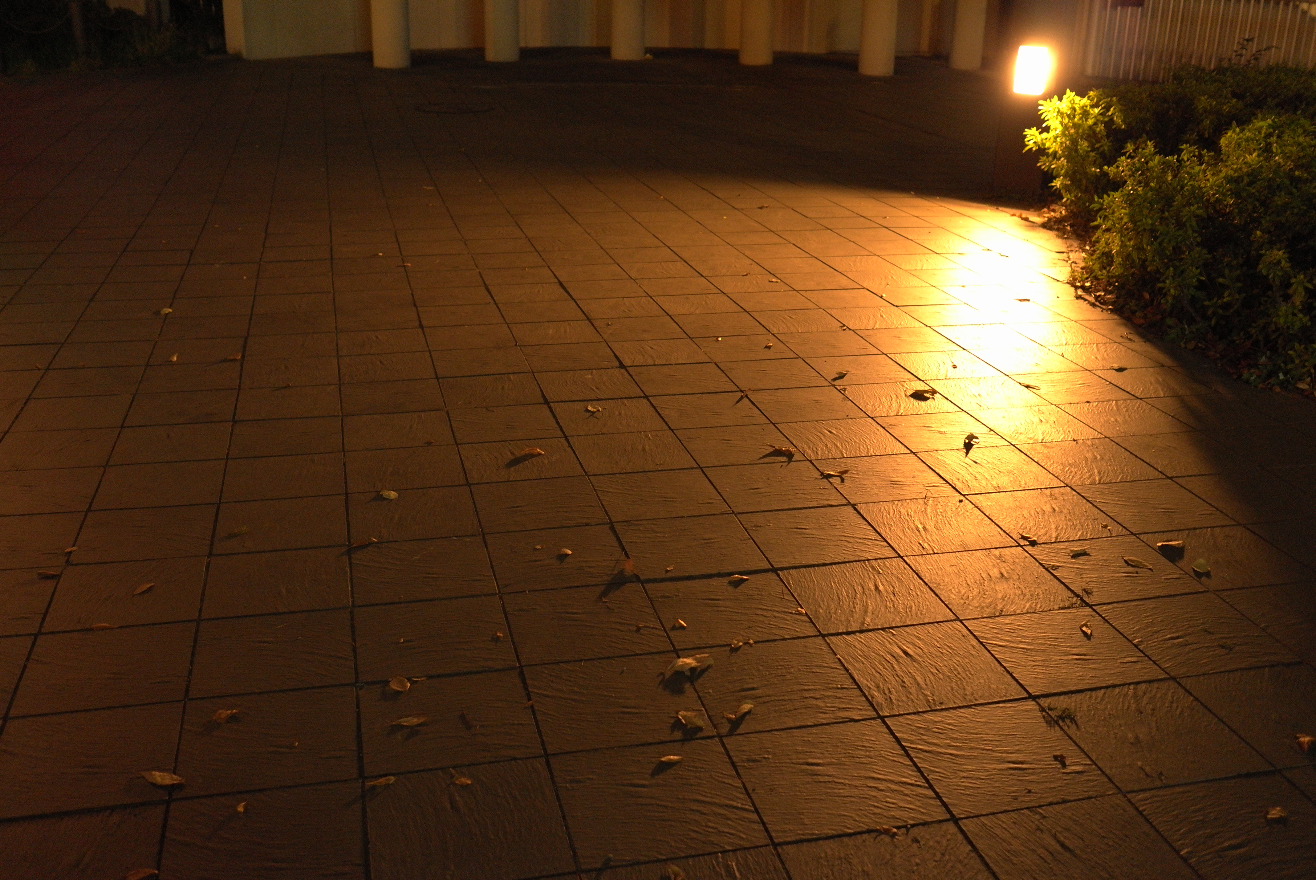 <b>ISO1600<br>X1 / 約4.9MB / 4,272×2,856 / 1/30秒 / F2.8 / 0EV / WB:daylight / 24mm</b>