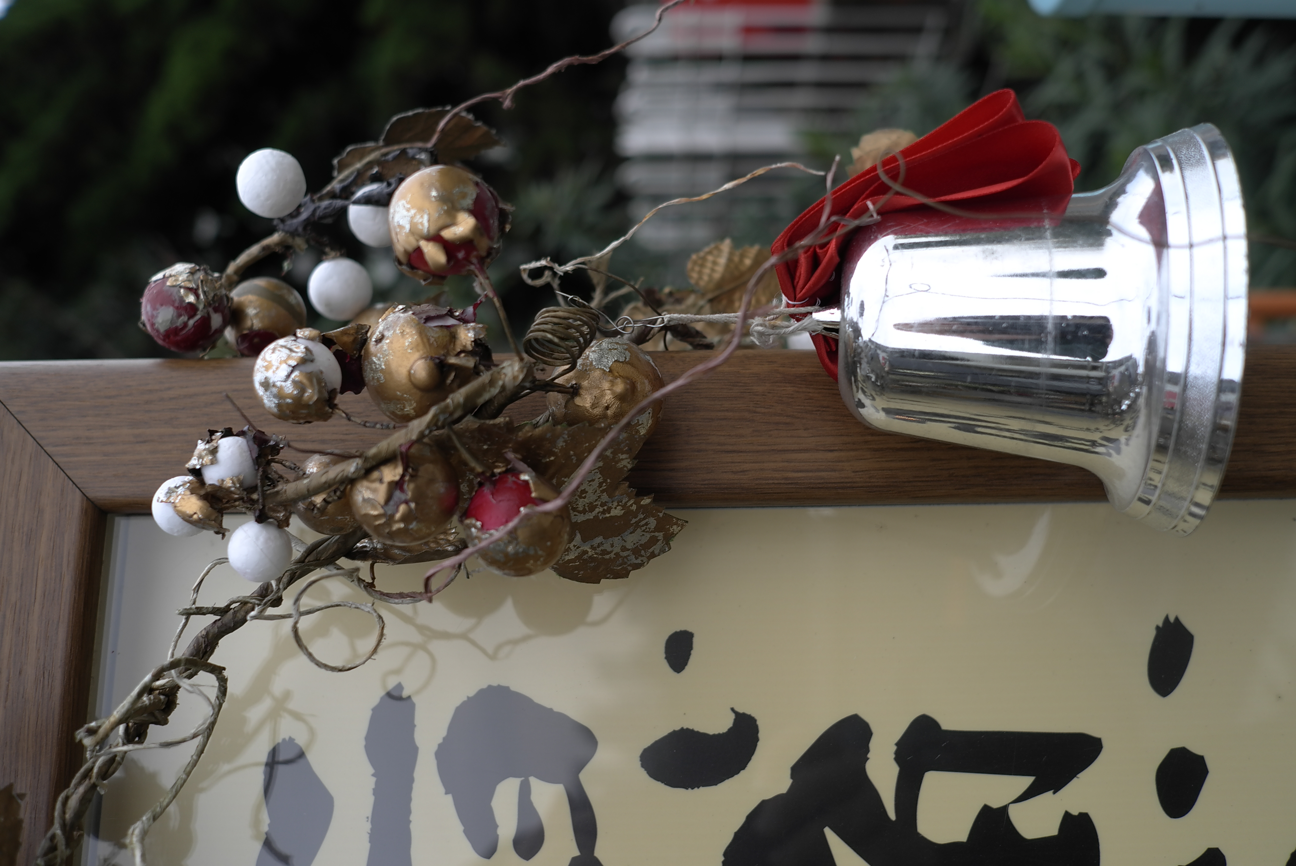 <b>X1 / 約4.2MB / 2,856×4,272 / 1/80秒 / F4 / 0EV / ISO100 / WB:オート / 24mm</b>