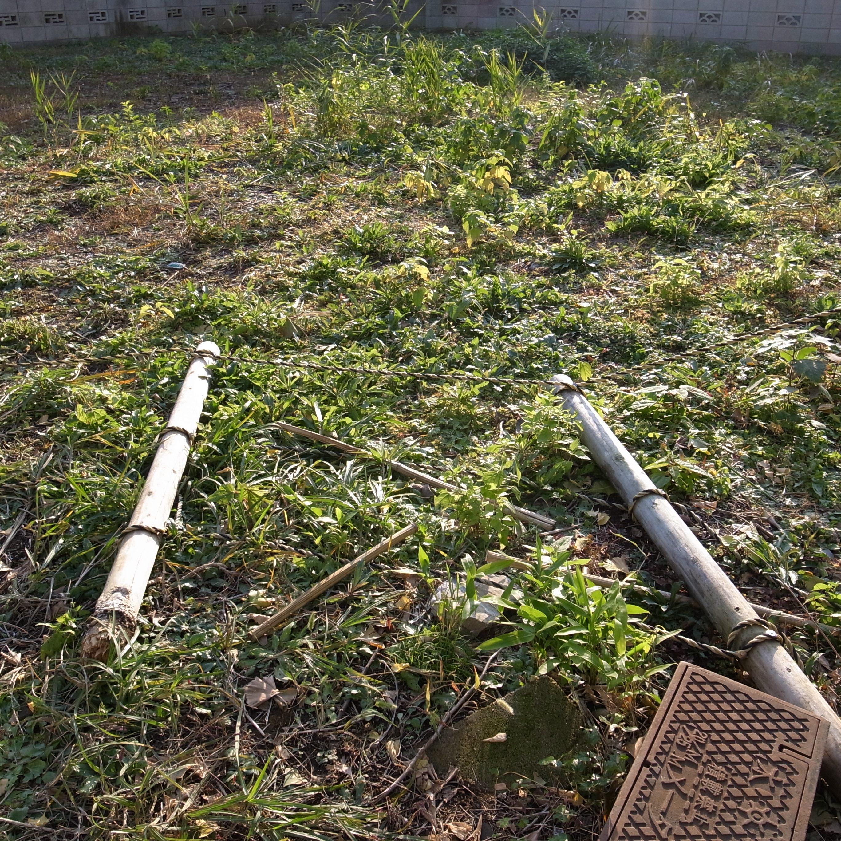 <b>GR DIGITAL III / 2,736×2,736 / 1/810秒 / F2.8 / 0EV / ISO100 / 絞り優先AE / WB:オート / 6mm</b>